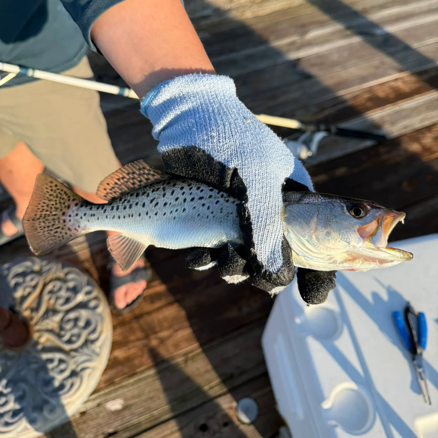 catch