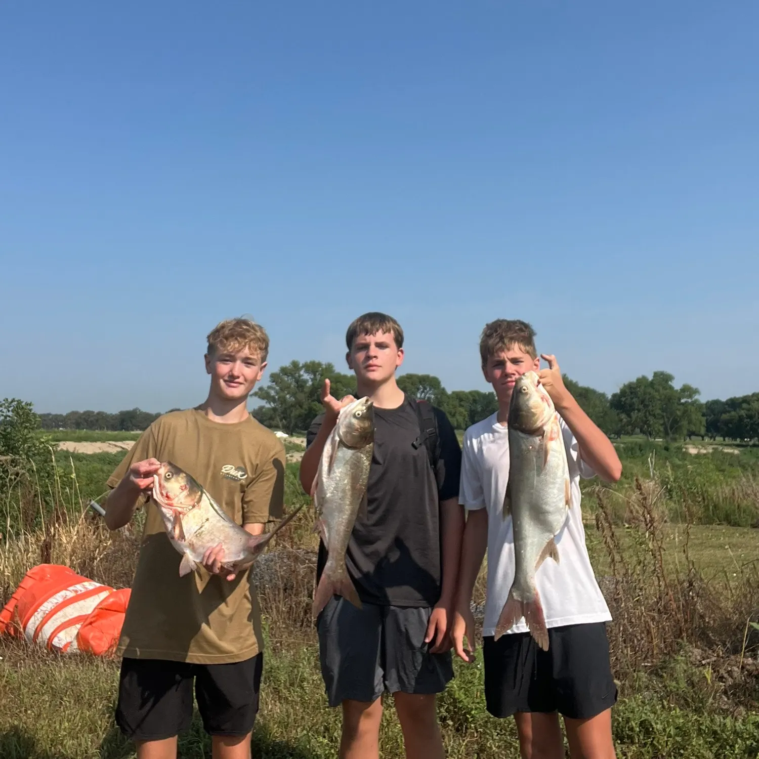 The most recent Bighead carp catches on Fishbrain
