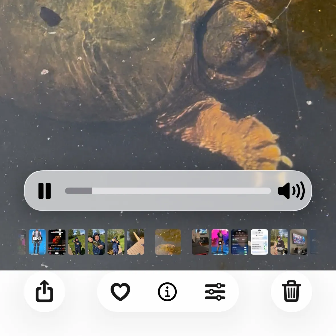 recently logged catches