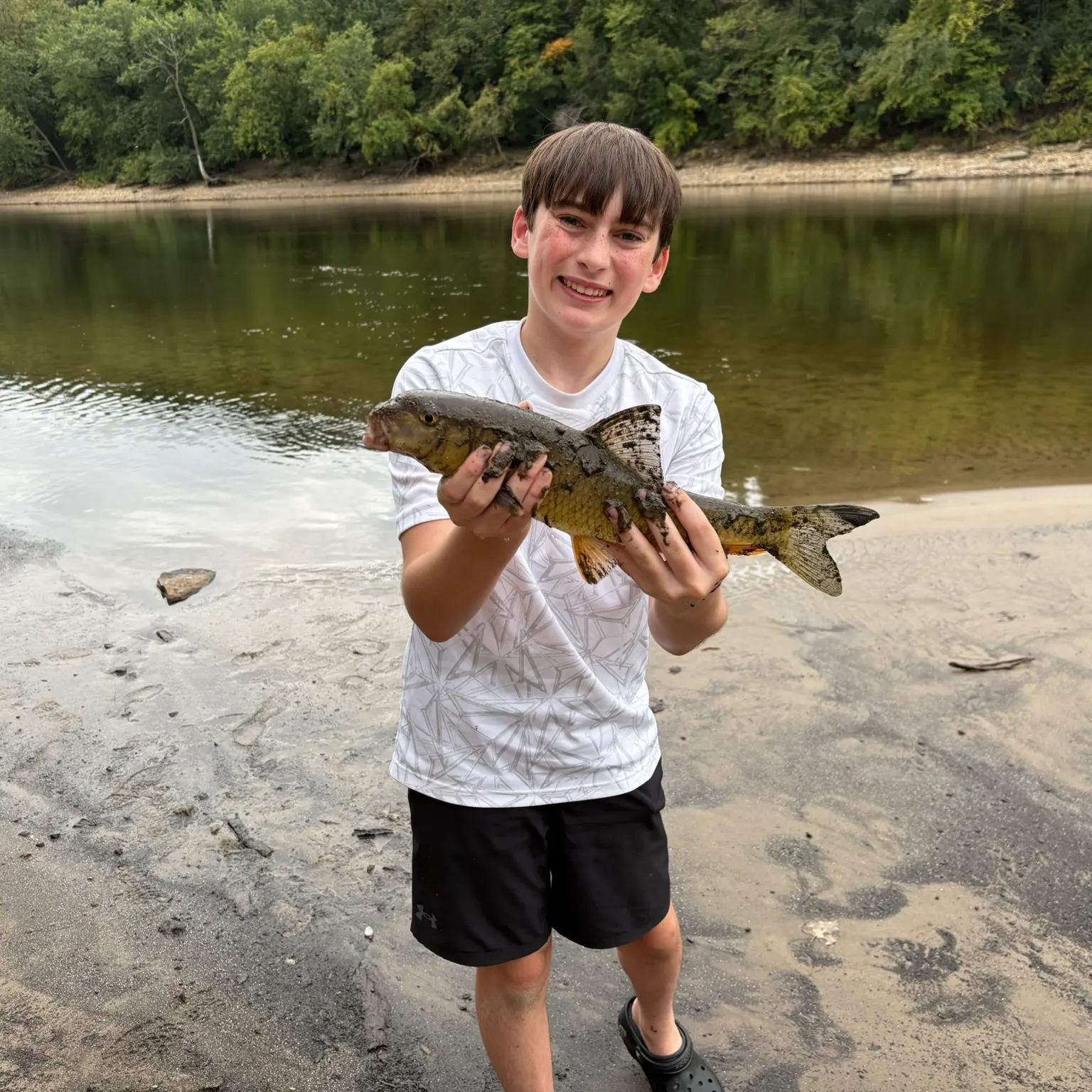 The most recent Golden redhorse catches on Fishbrain