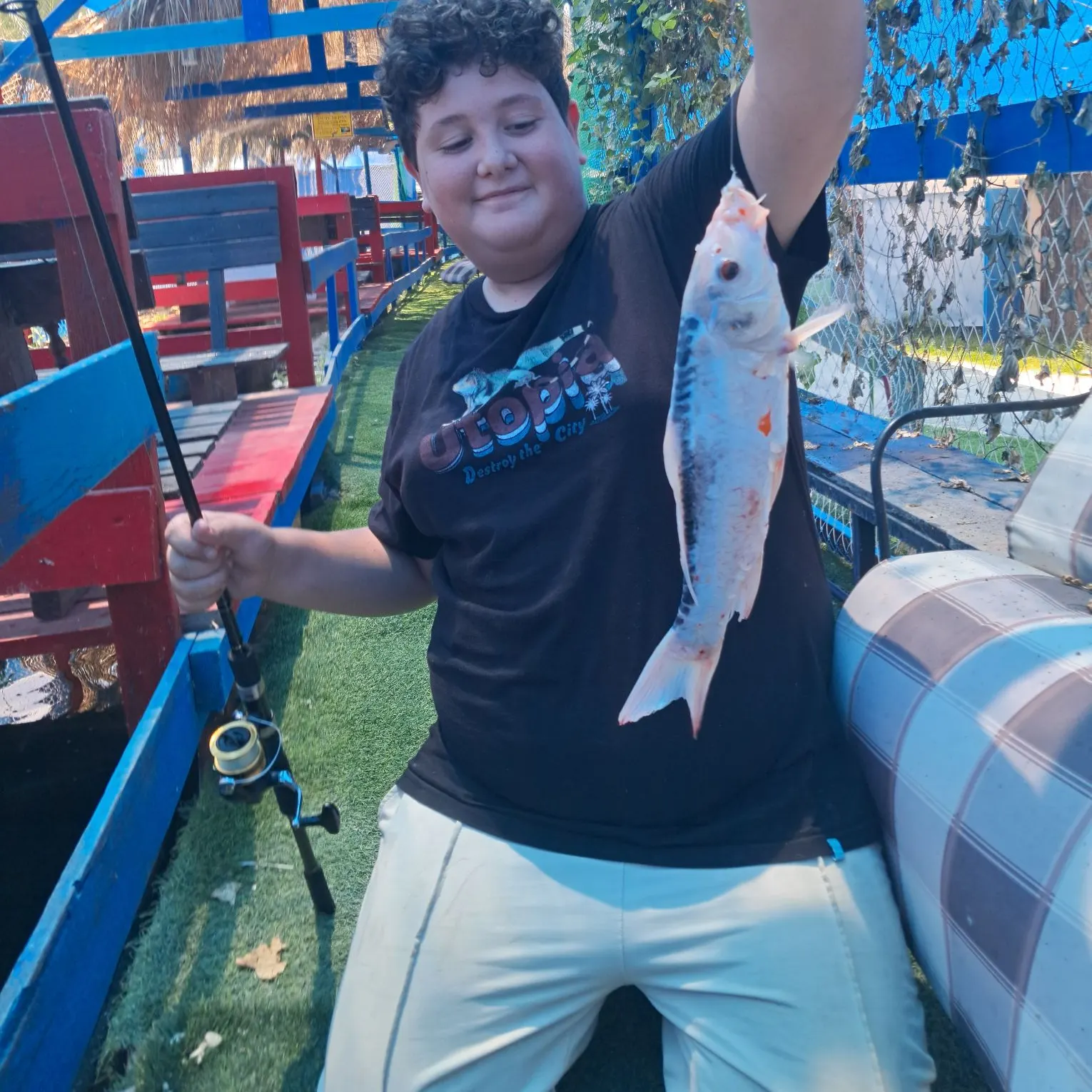 Little tunny caught on Fishbrain