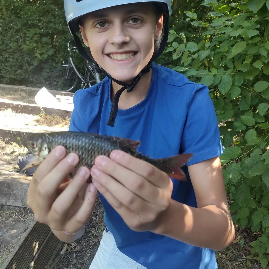 Fish caught on Fishbrain