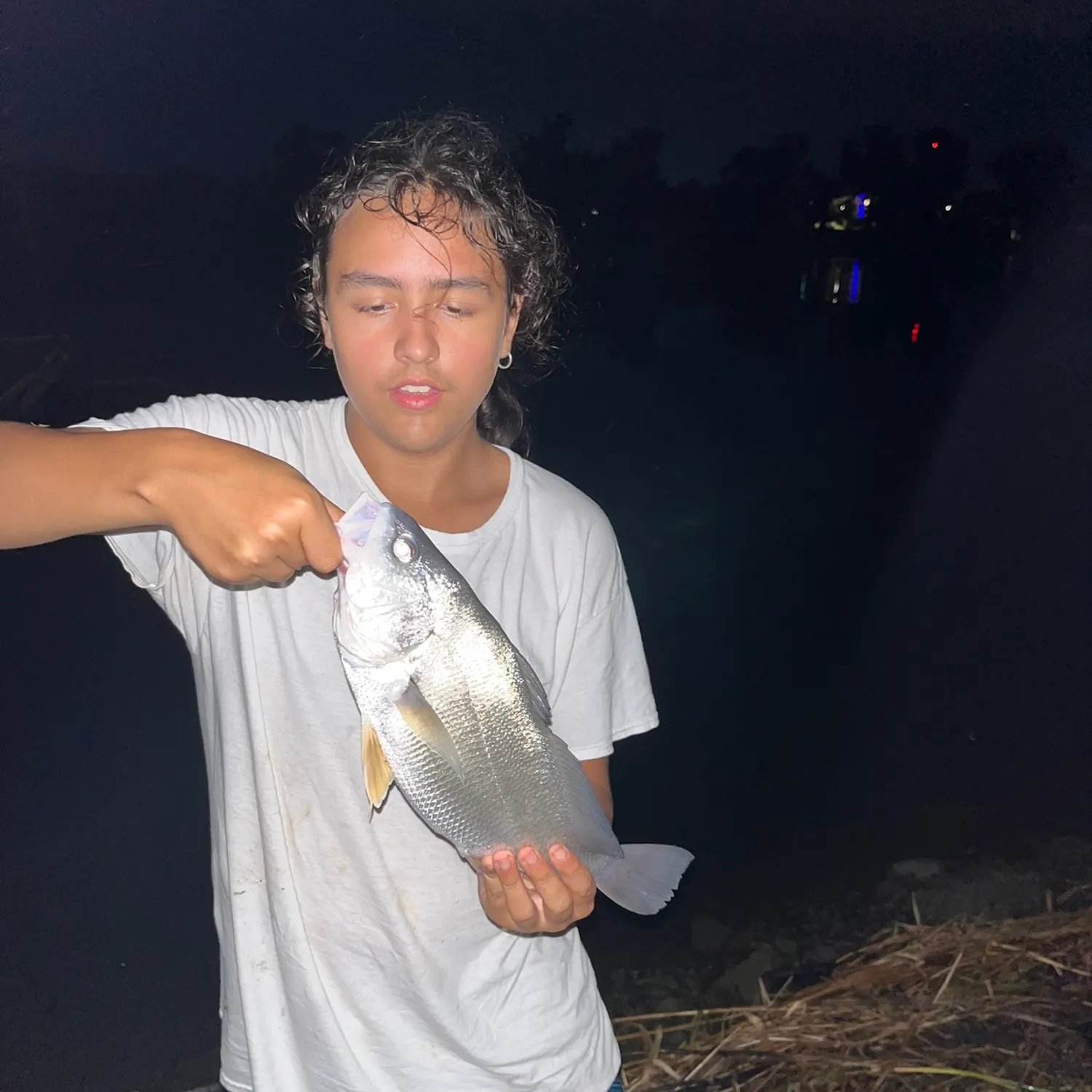 The most recent Freshwater drum catches on Fishbrain