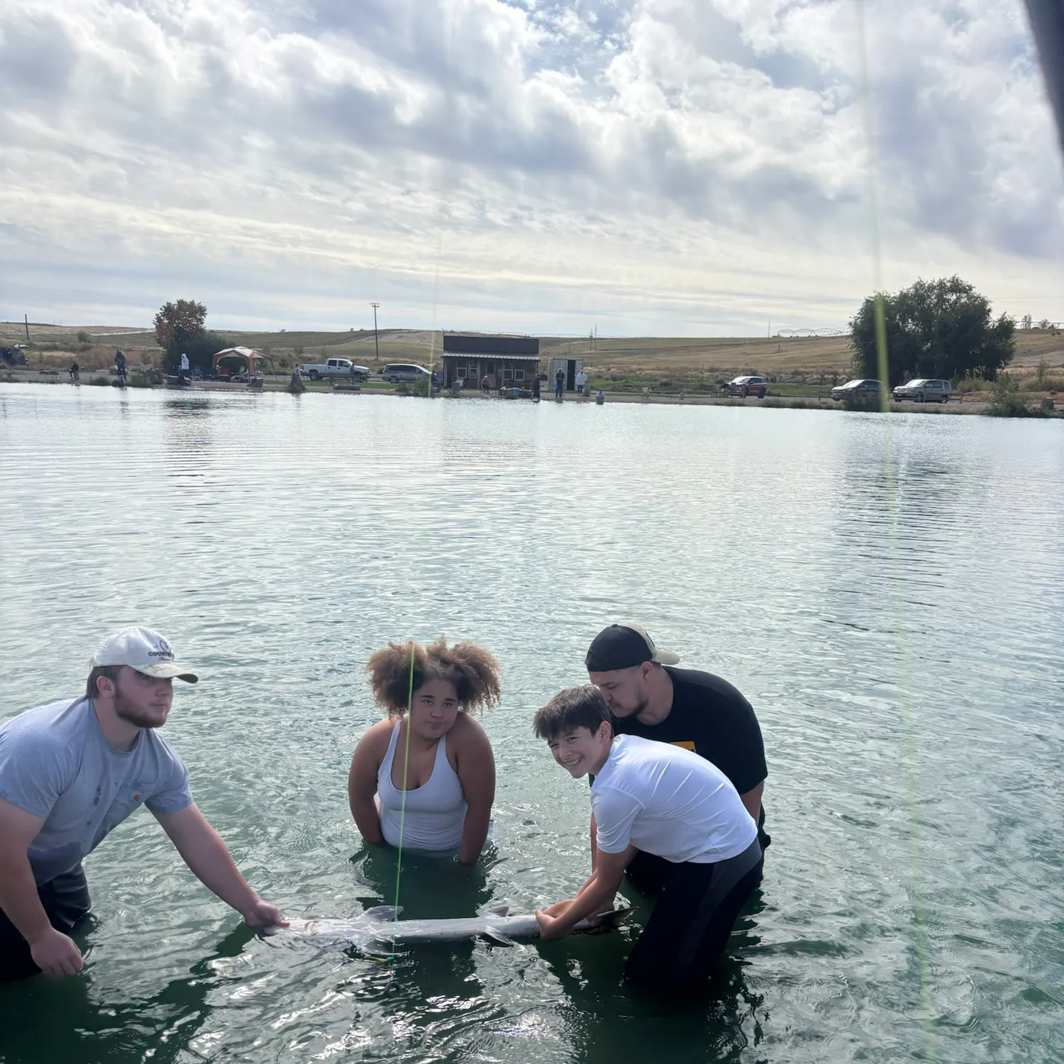 White sturgeon caught on Fishbrain