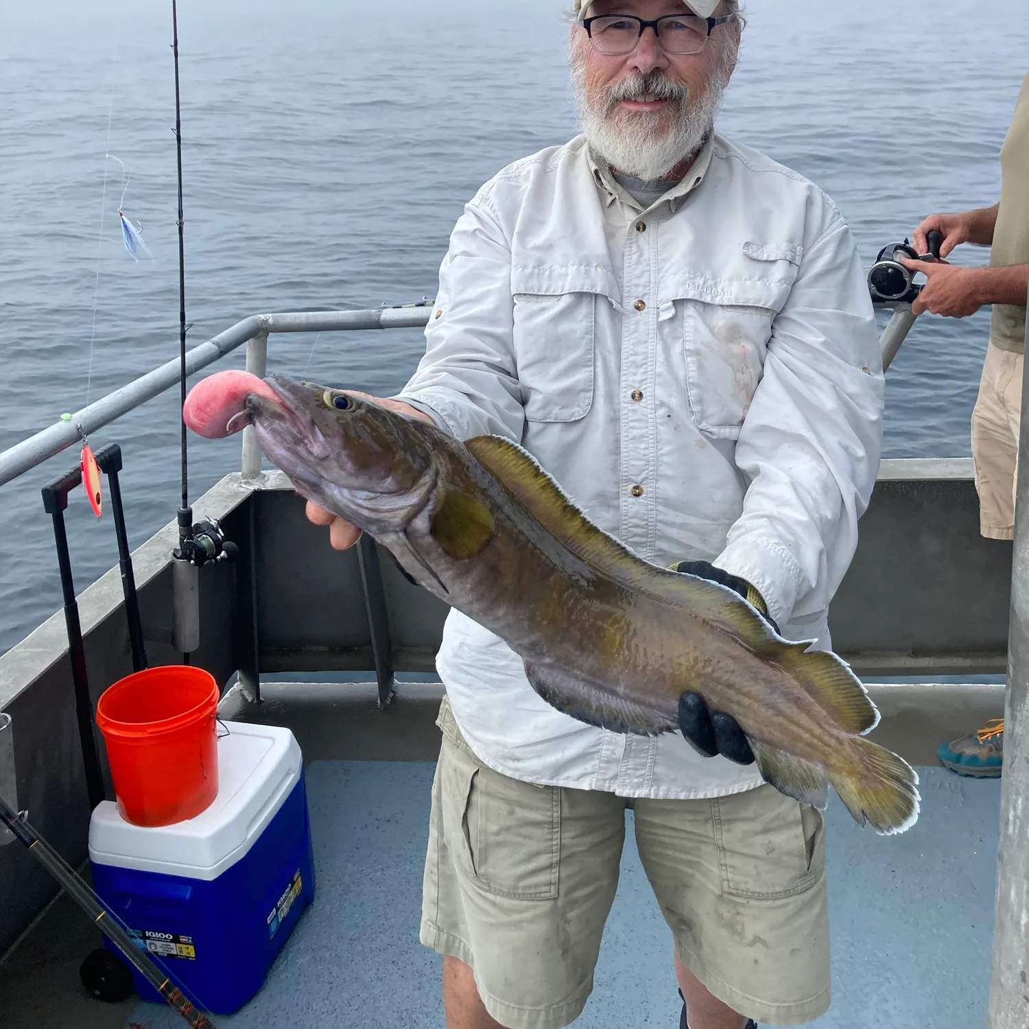 Cusk caught on Fishbrain