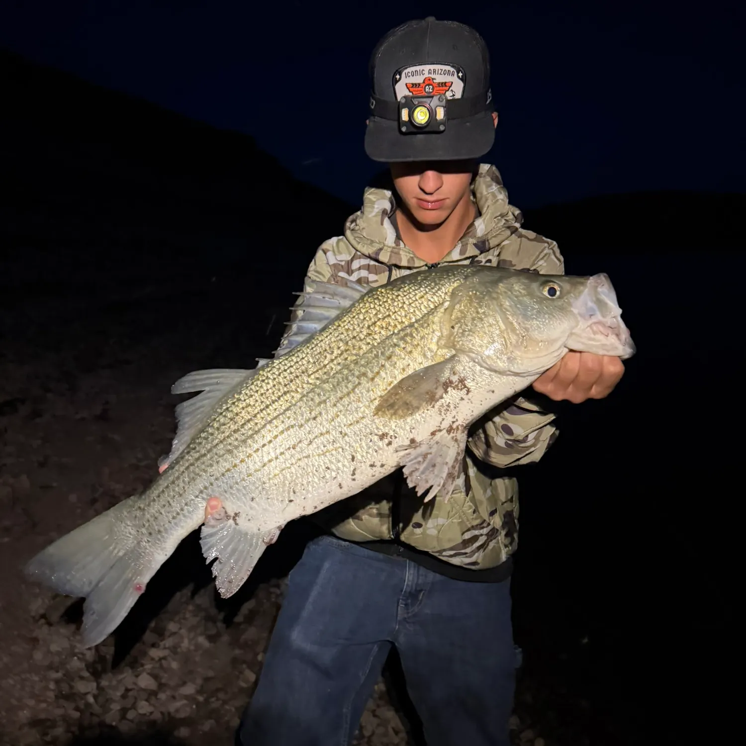 Wiper caught on Fishbrain