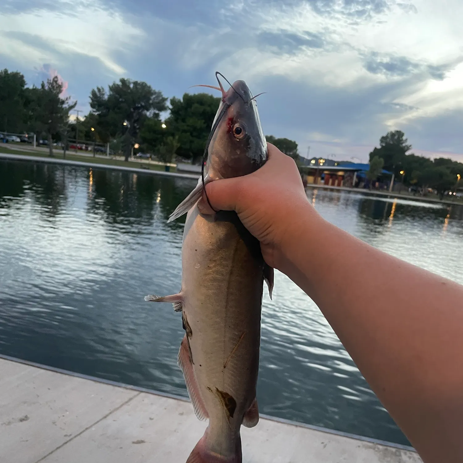 catch