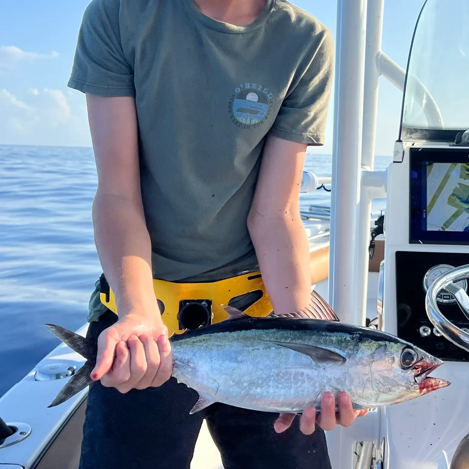 The most recent Blackfin tuna catches on Fishbrain