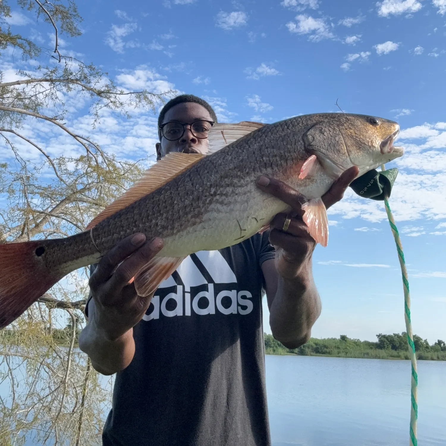 The most recent Red drum catches on Fishbrain