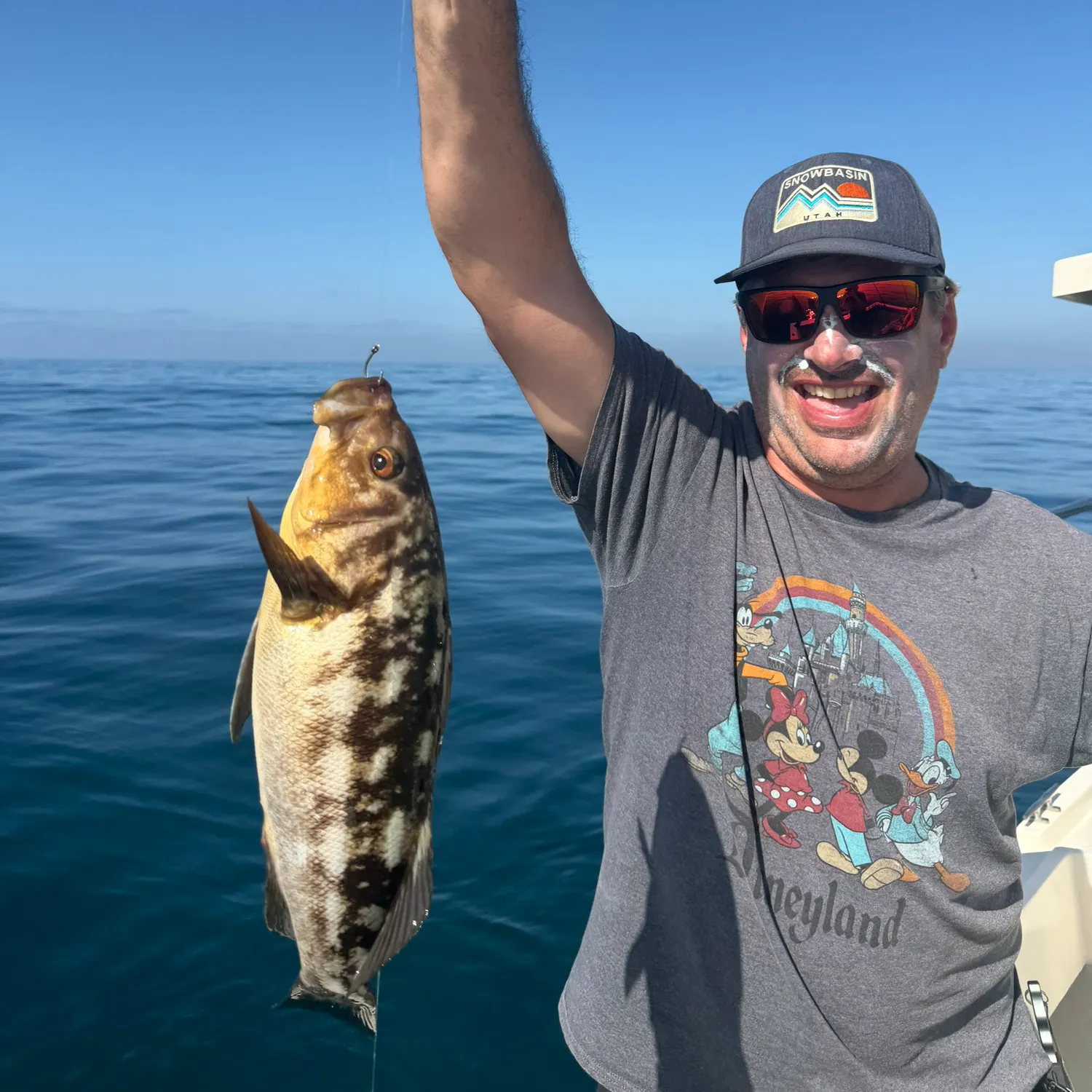 Kelp bass caught on Fishbrain