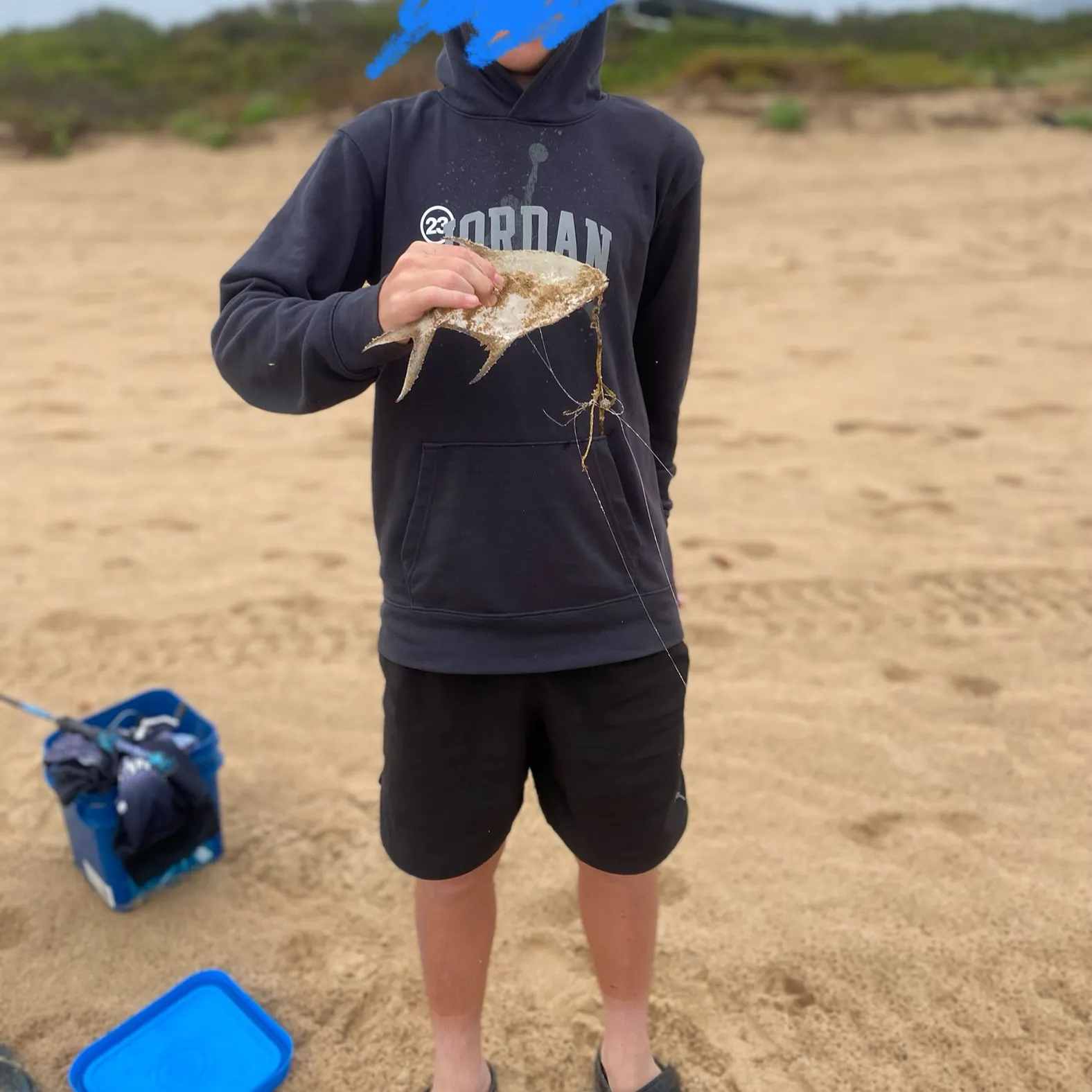 The most recent Brassy trevally catches on Fishbrain