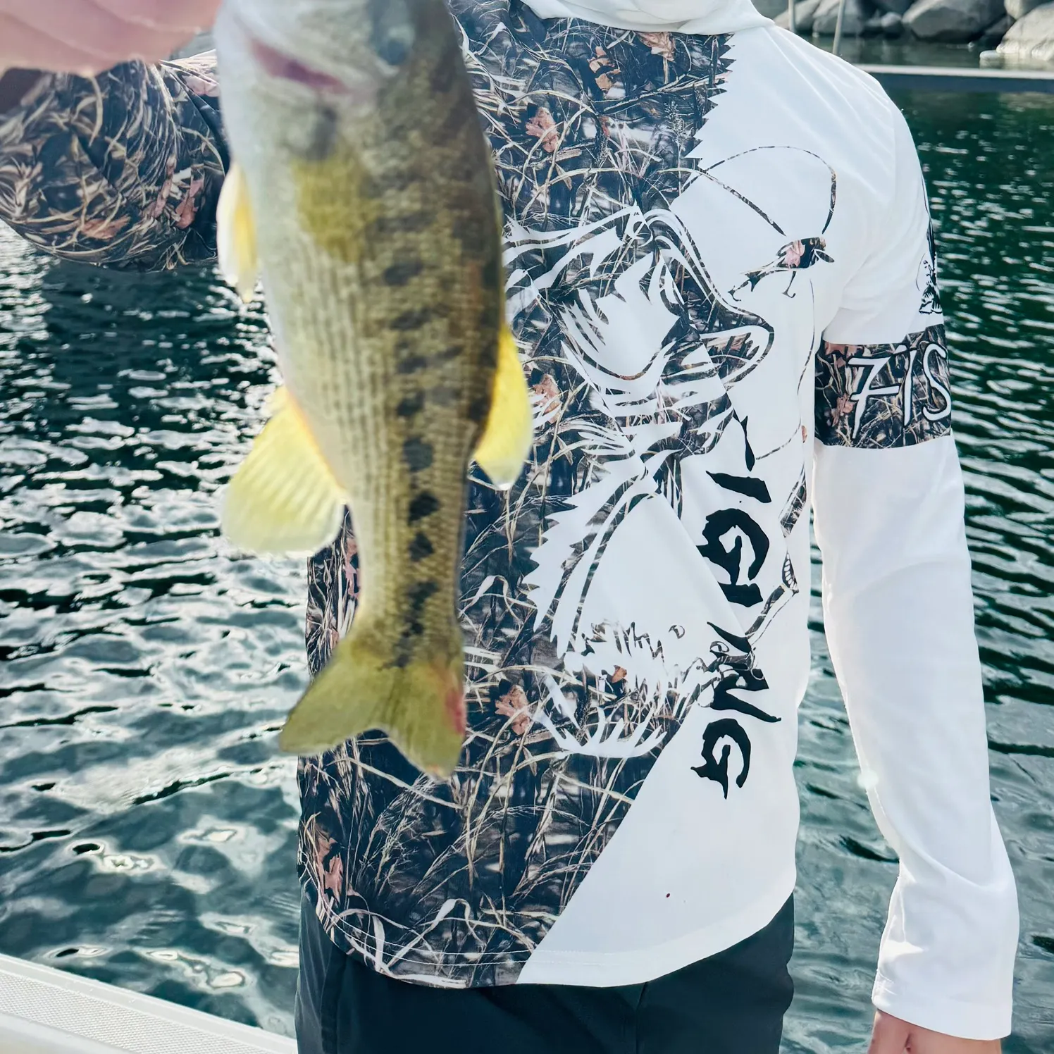 The most recent Guadalupe bass catches on Fishbrain