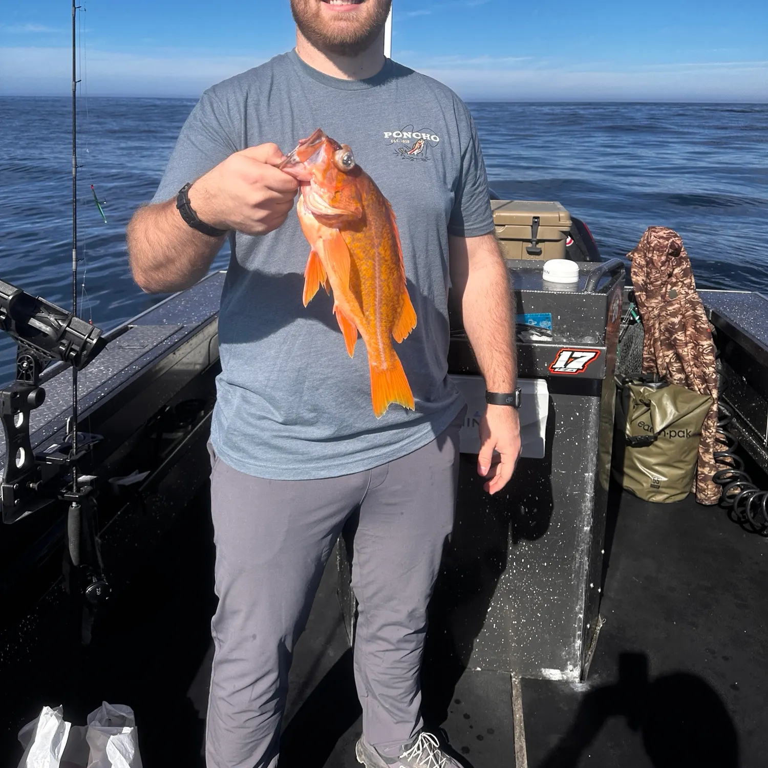 Canary rockfish caught on Fishbrain