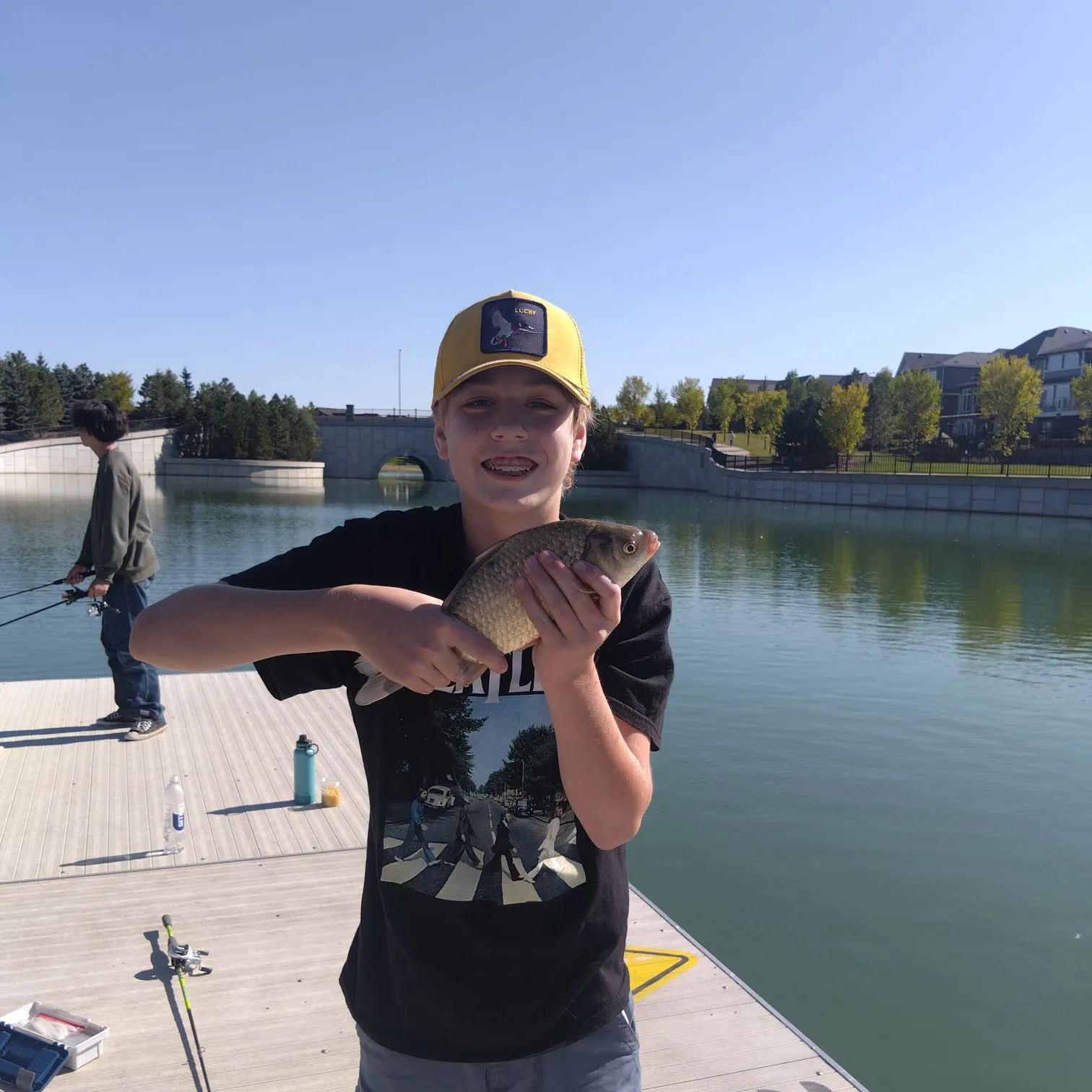 The most recent Prussian carp catches on Fishbrain