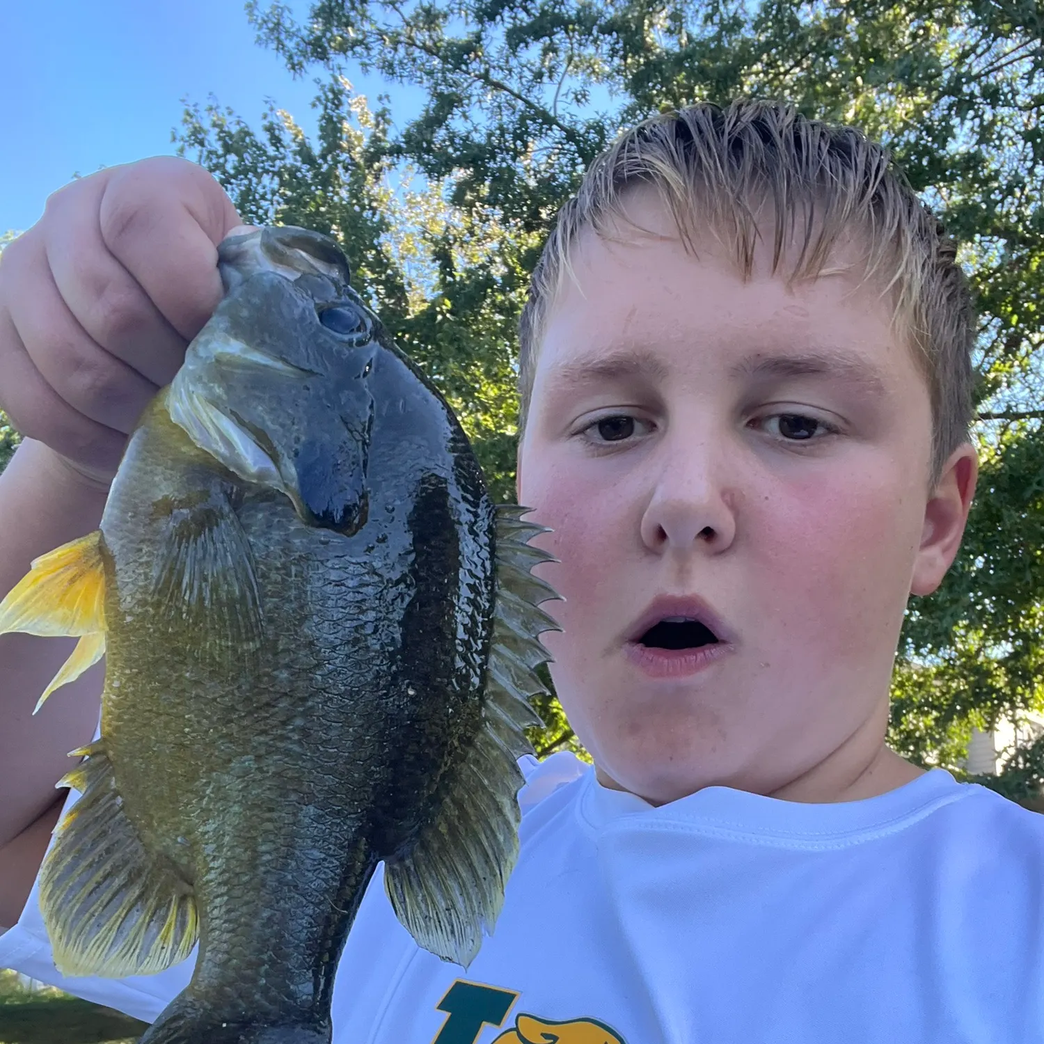 The most recent Greengill hybrid catches on Fishbrain