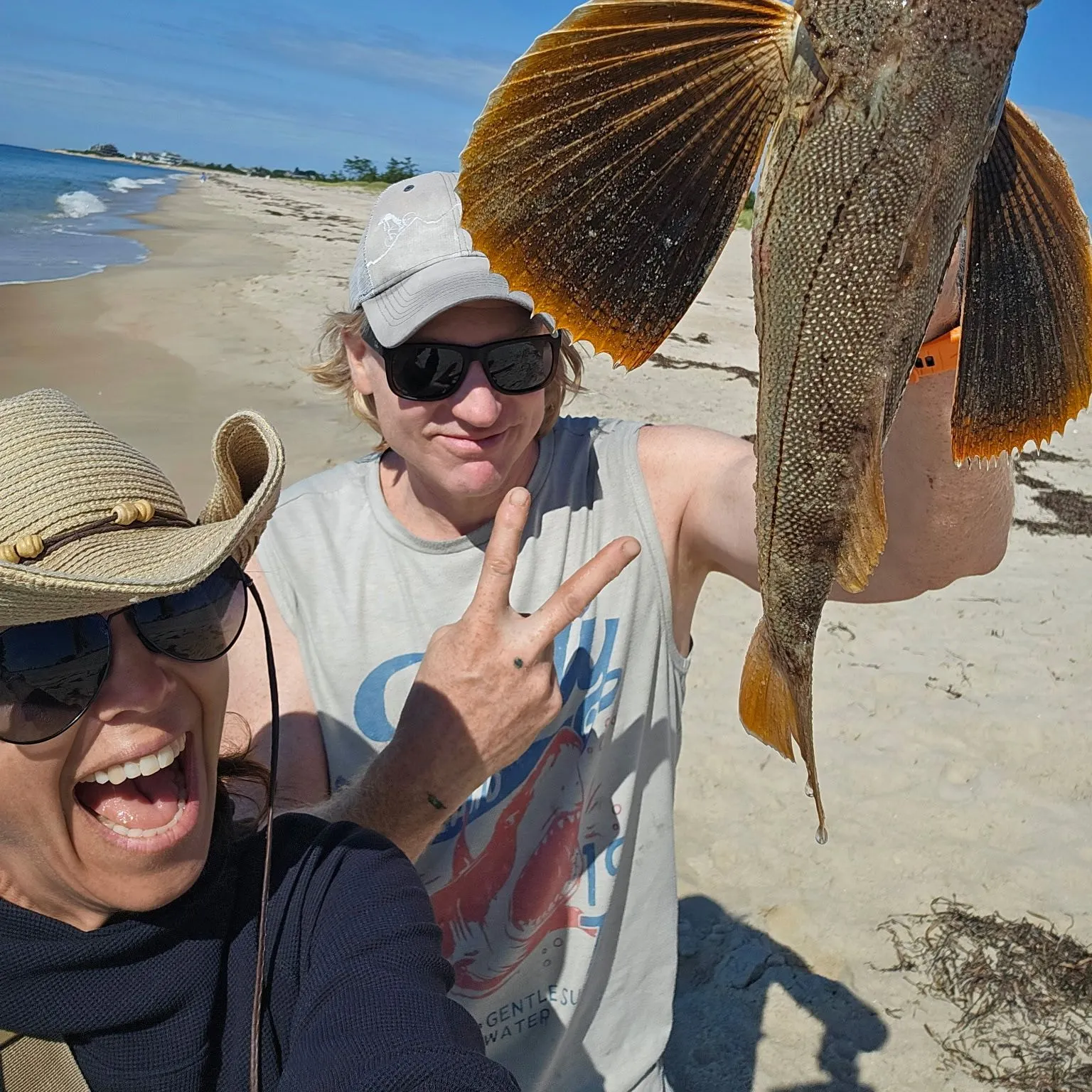 Striped searobin caught on Fishbrain