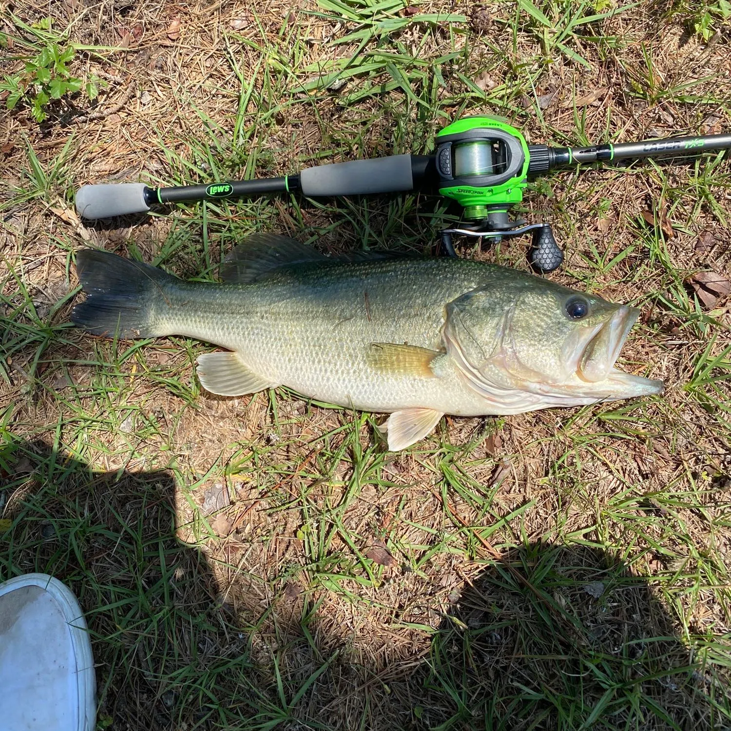 ᐅ Westwood Shores Country Club Lake fishing reports🎣• Westwood Shores ...