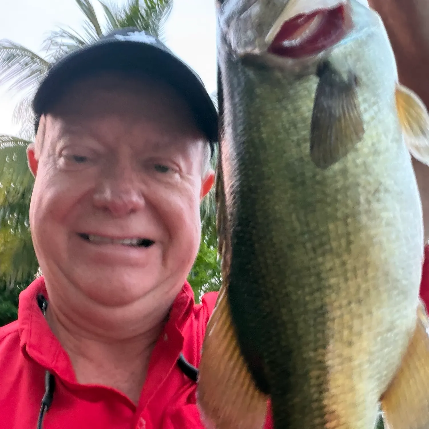 Florida bass caught on Fishbrain