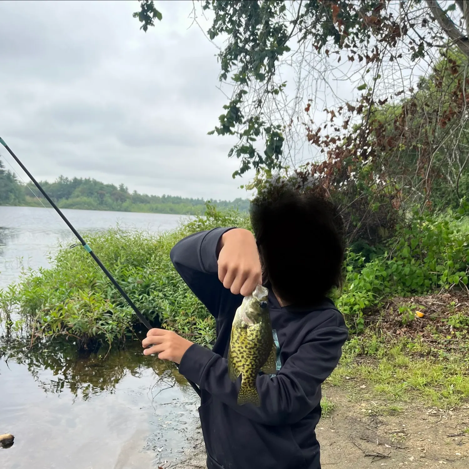 Black crappie caught on Fishbrain
