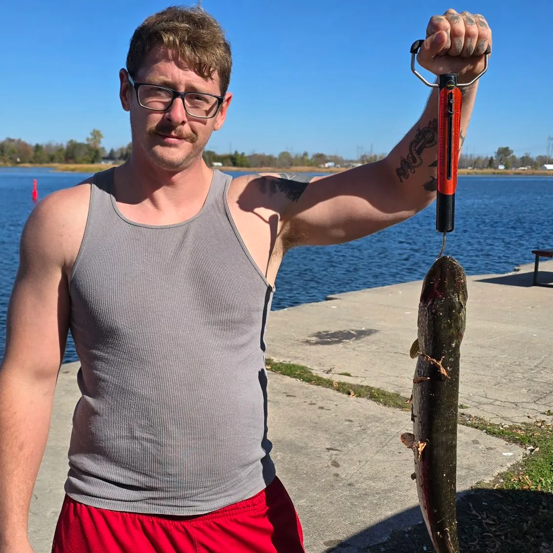 Northern pike caught on Fishbrain