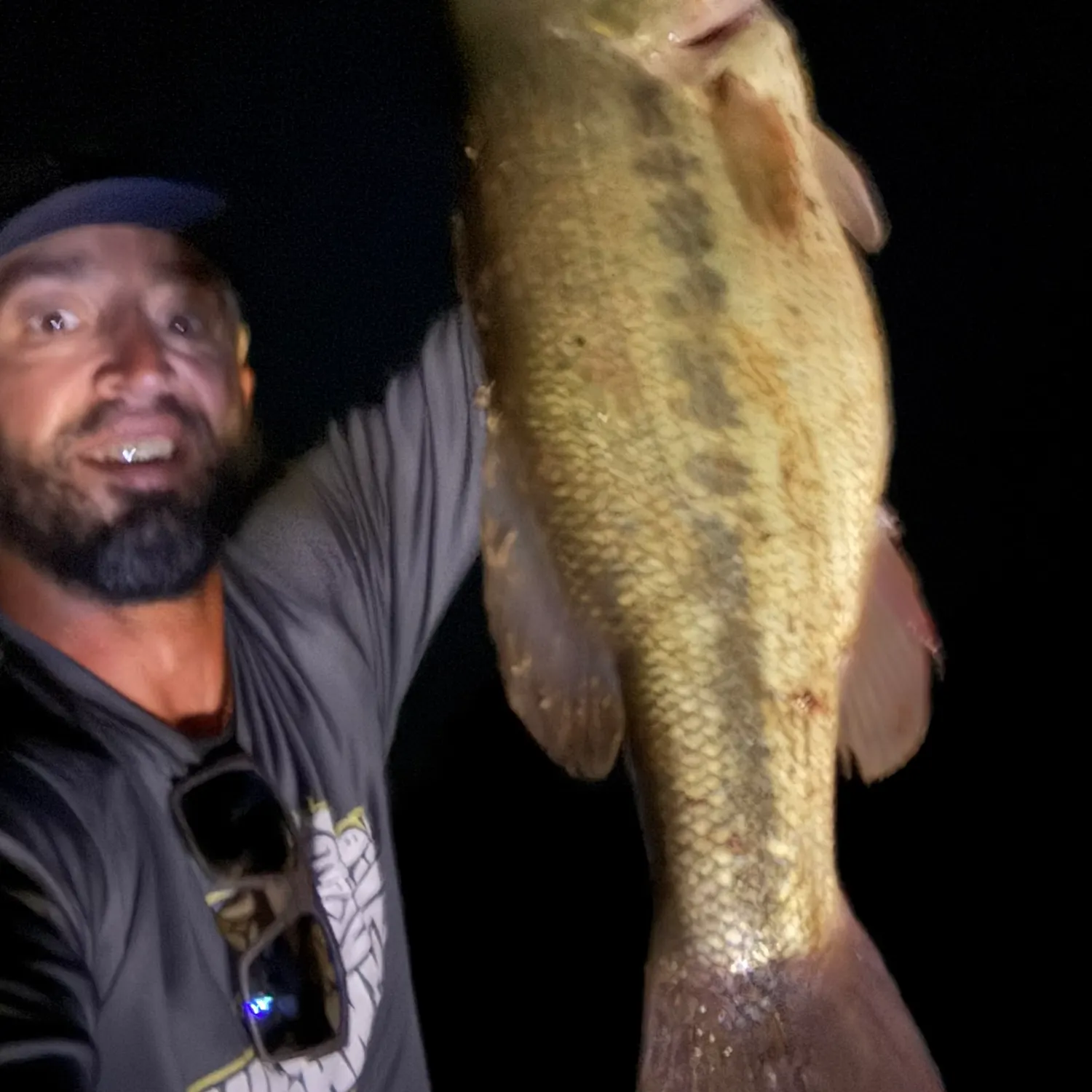 Largemouth bass caught on Fishbrain