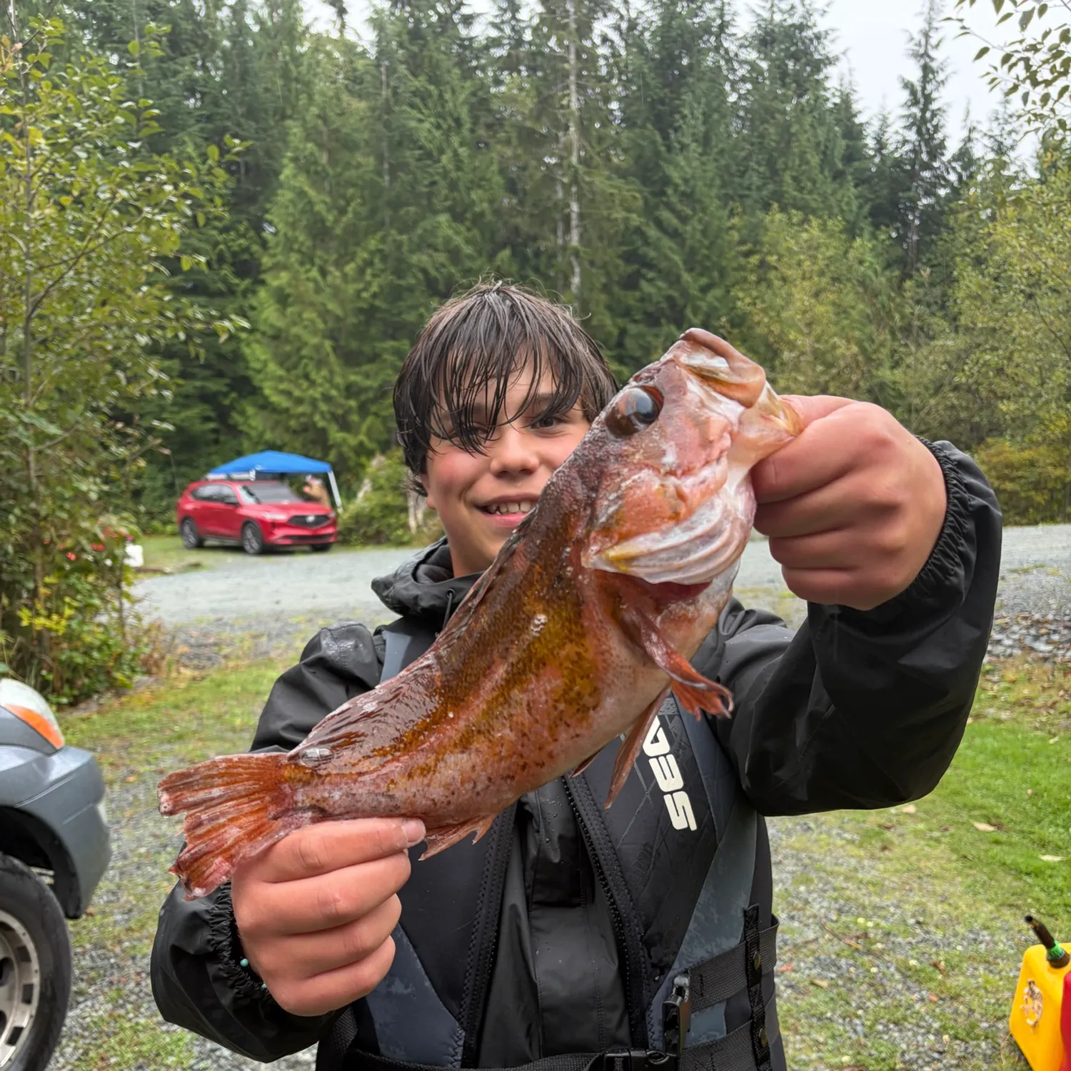 Copper rockfish caught on Fishbrain