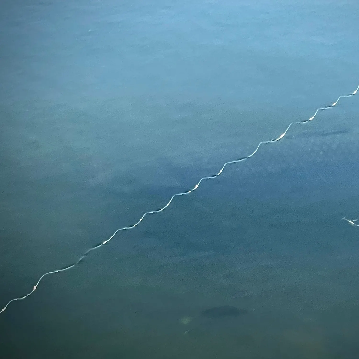 The most recent Grass carp catches on Fishbrain