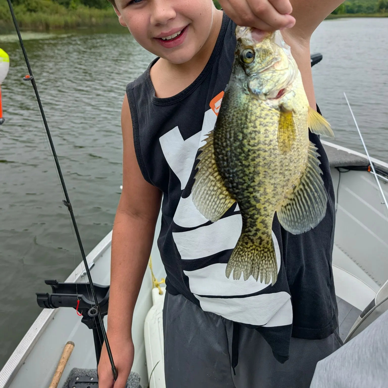 Black crappie caught on Fishbrain