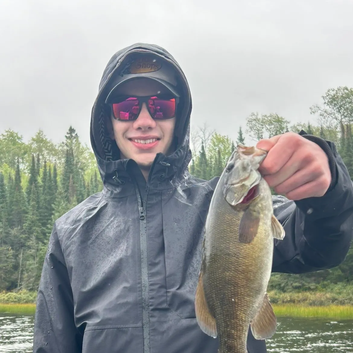 Smallmouth bass caught on Fishbrain