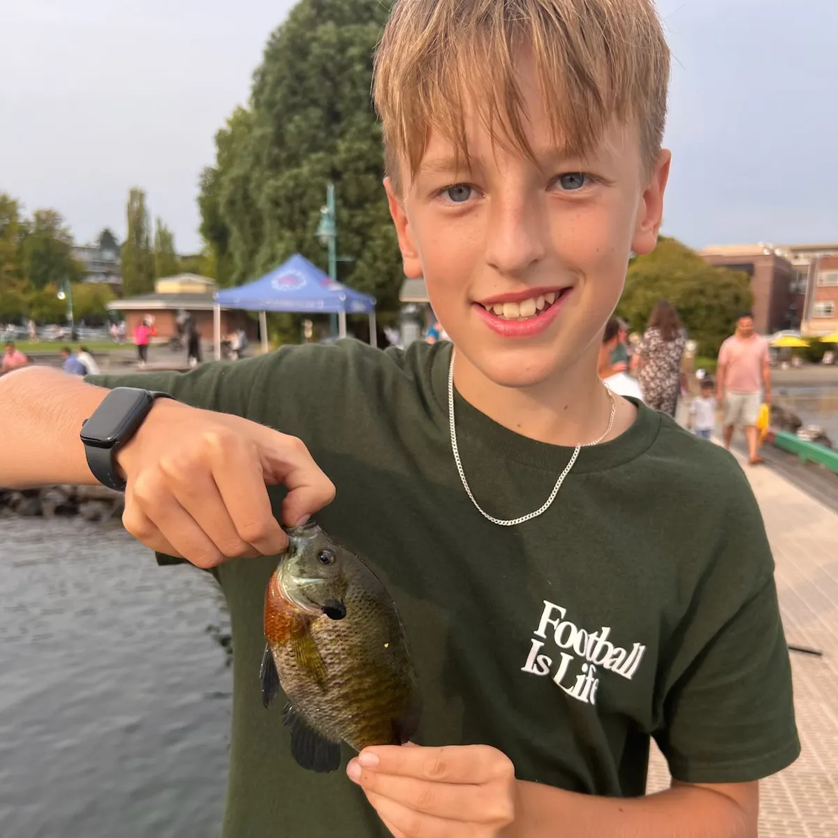Bluegill caught on Fishbrain