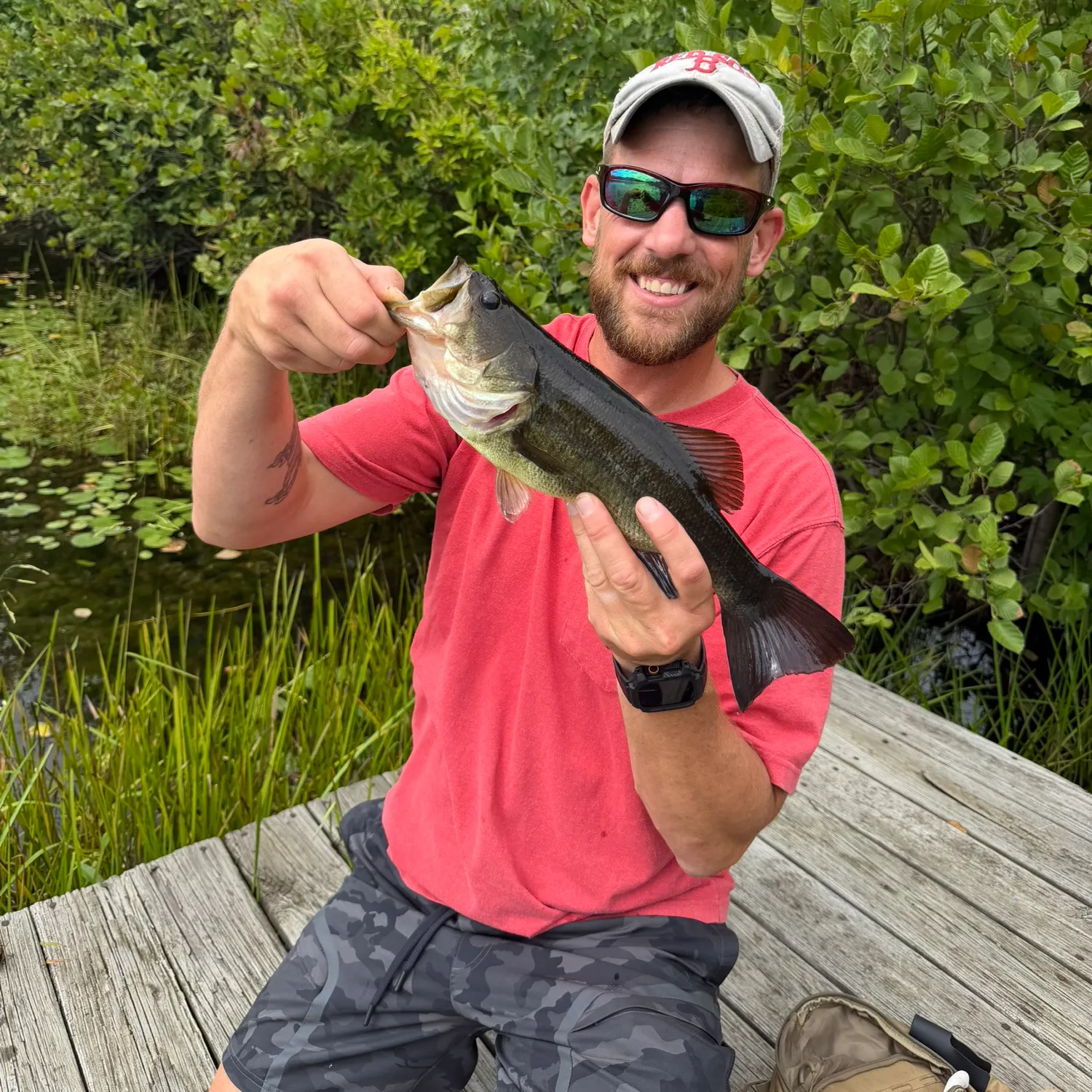 Largemouth bass caught on Fishbrain