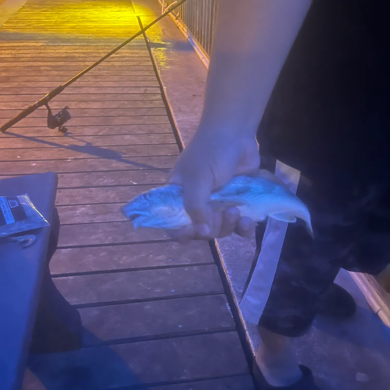 Gulf kingcroaker caught on Fishbrain