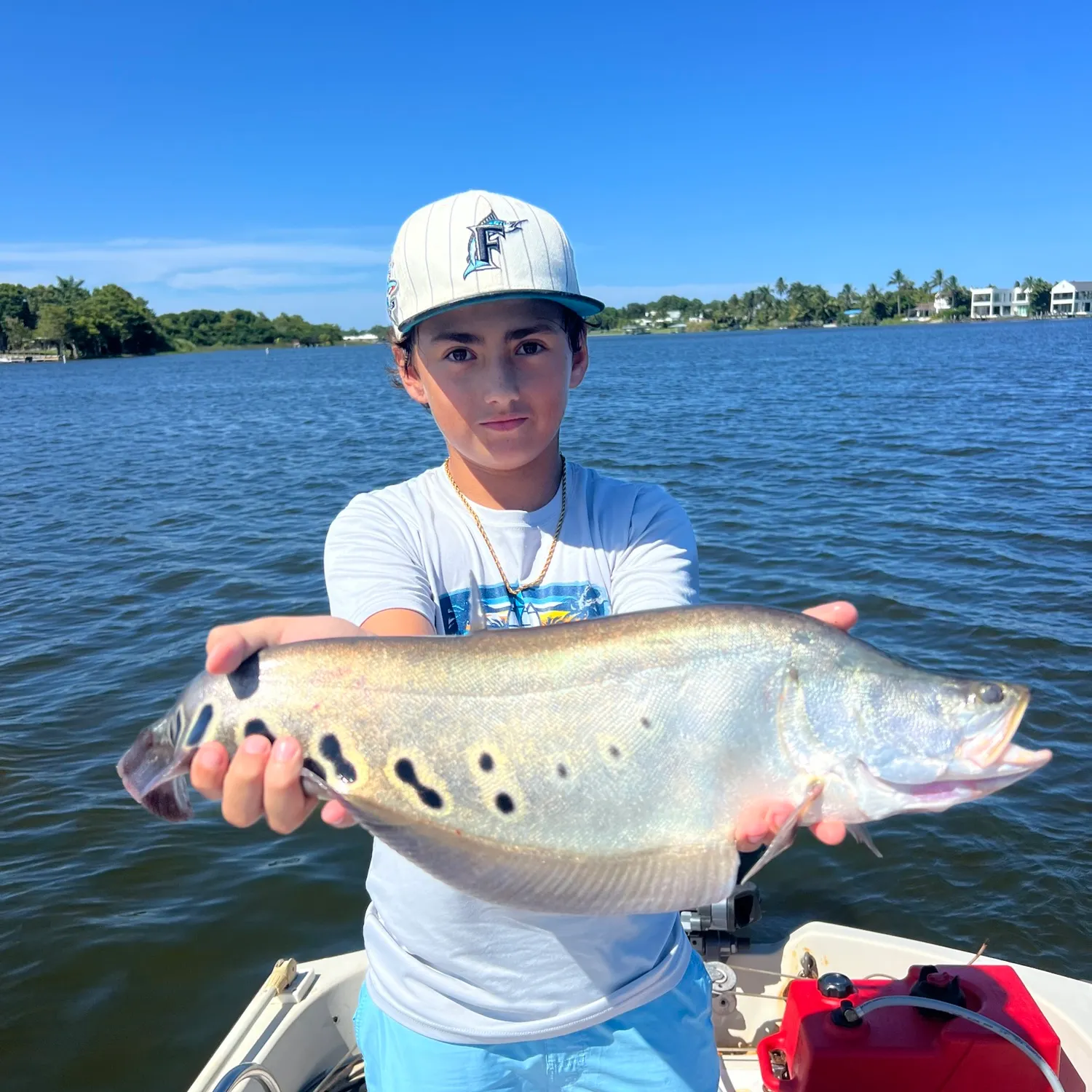 The most recent Clown knifefish catches on Fishbrain