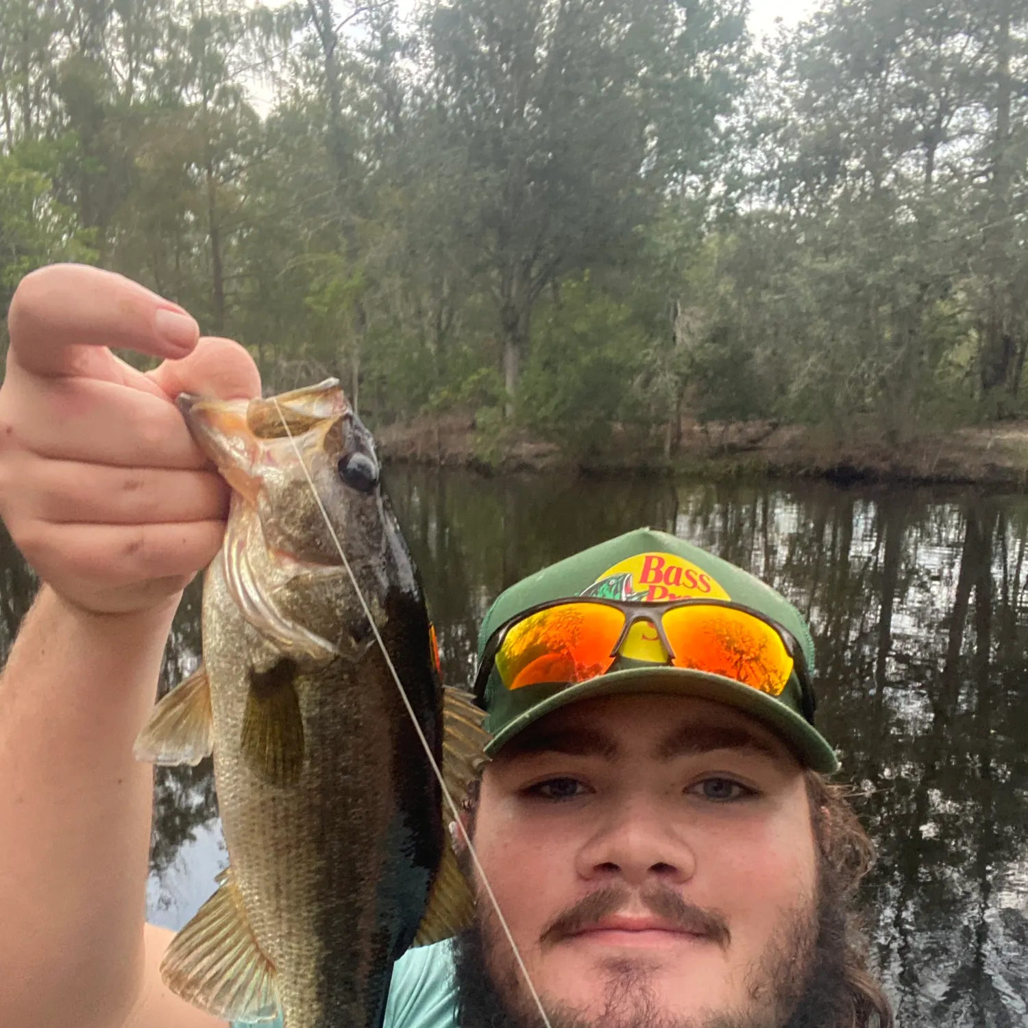 Florida bass caught on Fishbrain