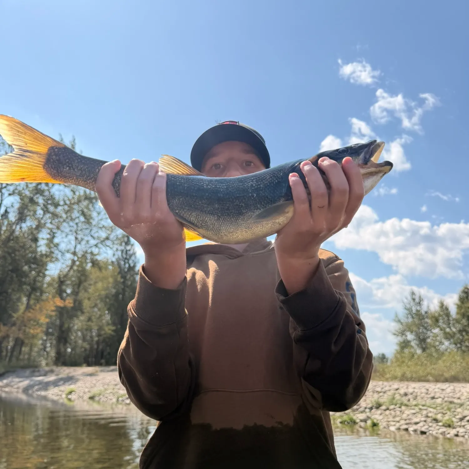 Northern pikeminnow caught on Fishbrain