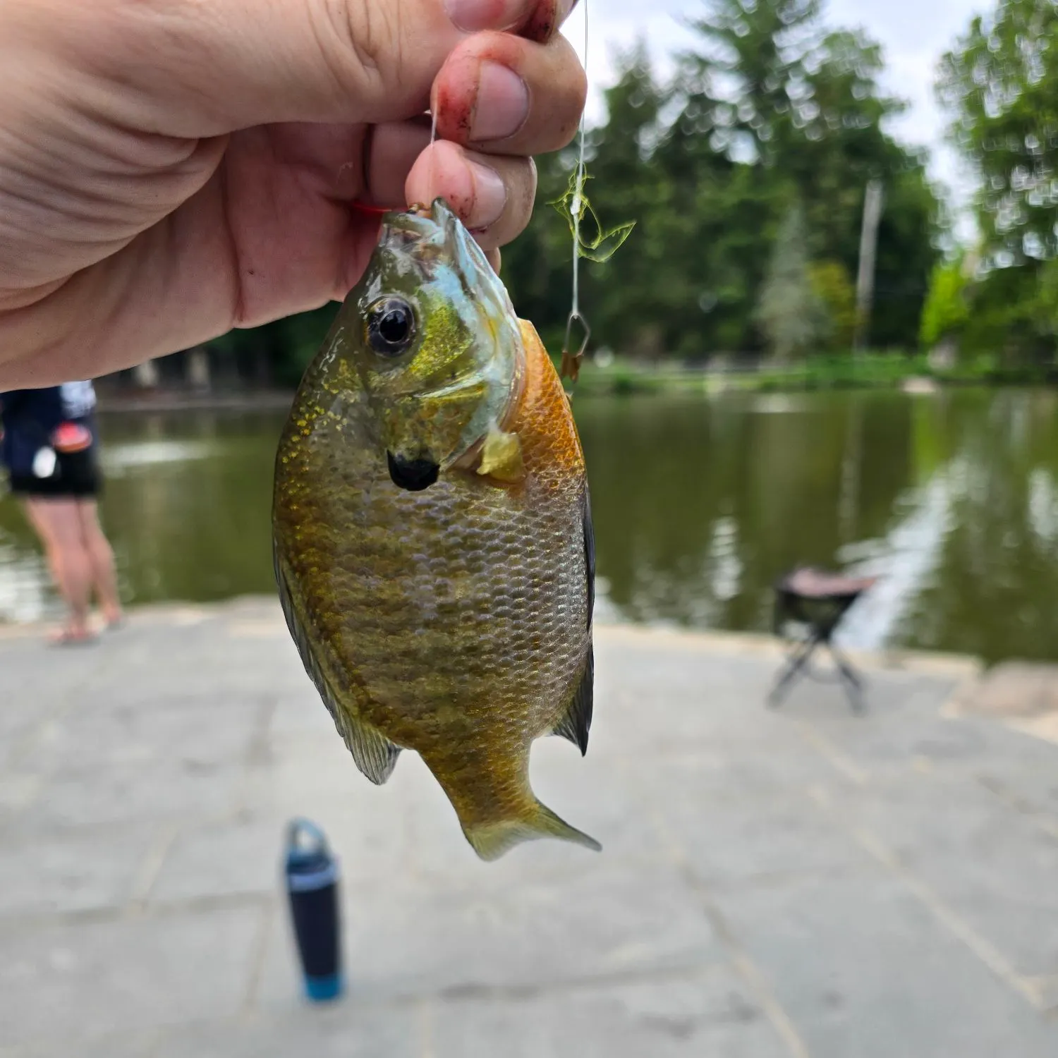 catch