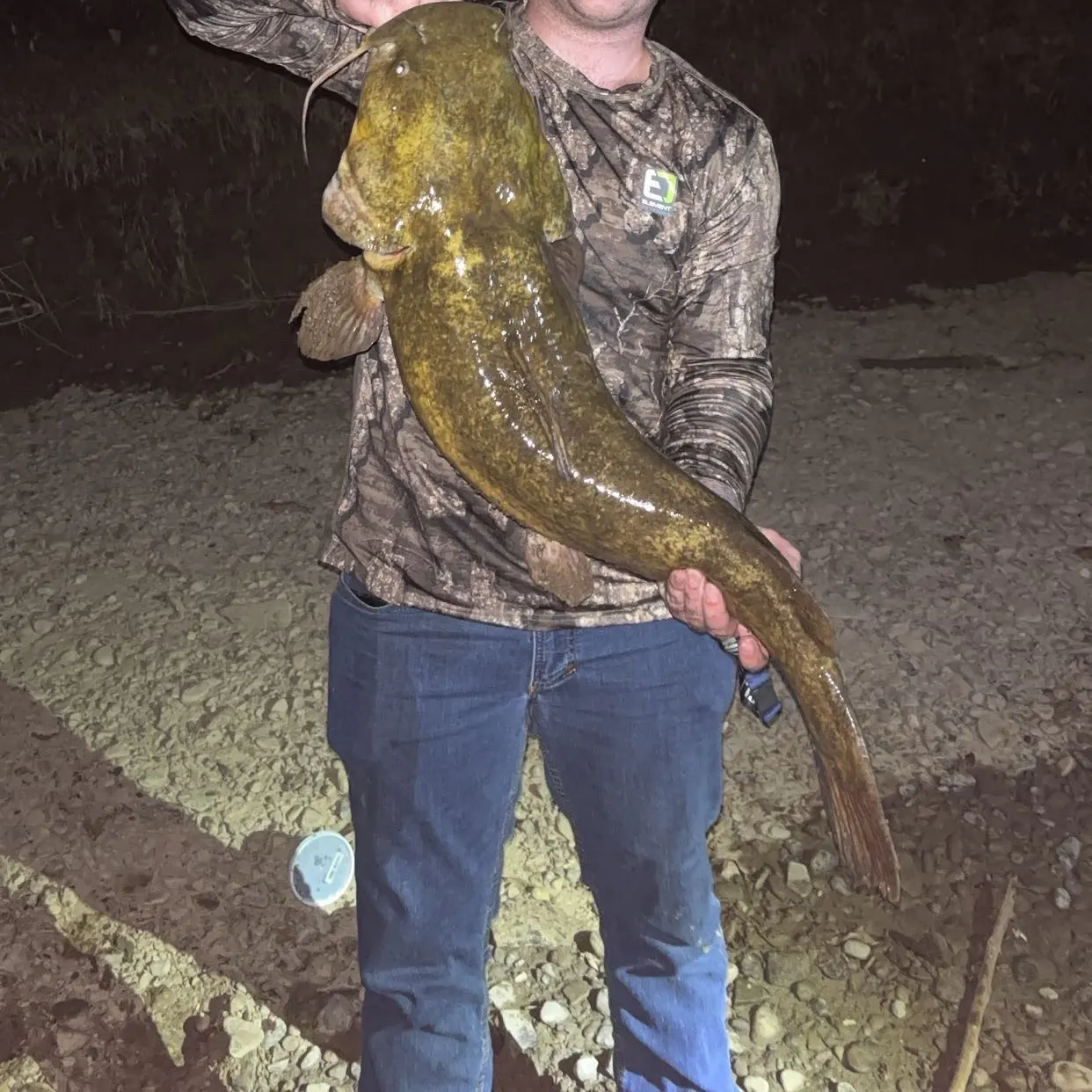 Flathead catfish caught on Fishbrain