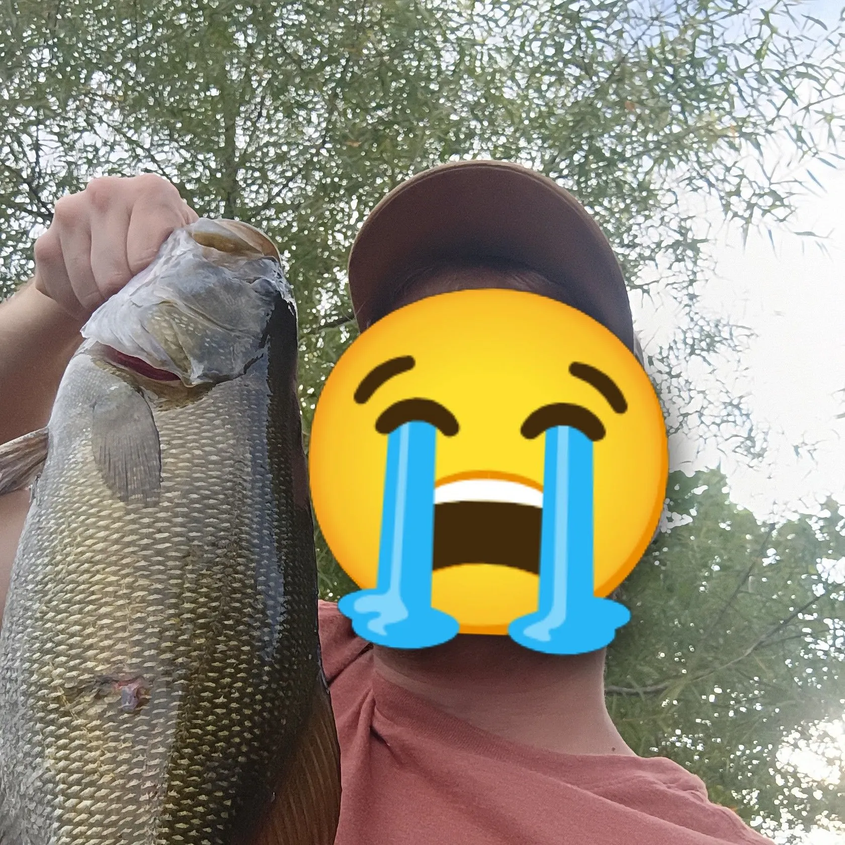 Smallmouth bass caught on Fishbrain