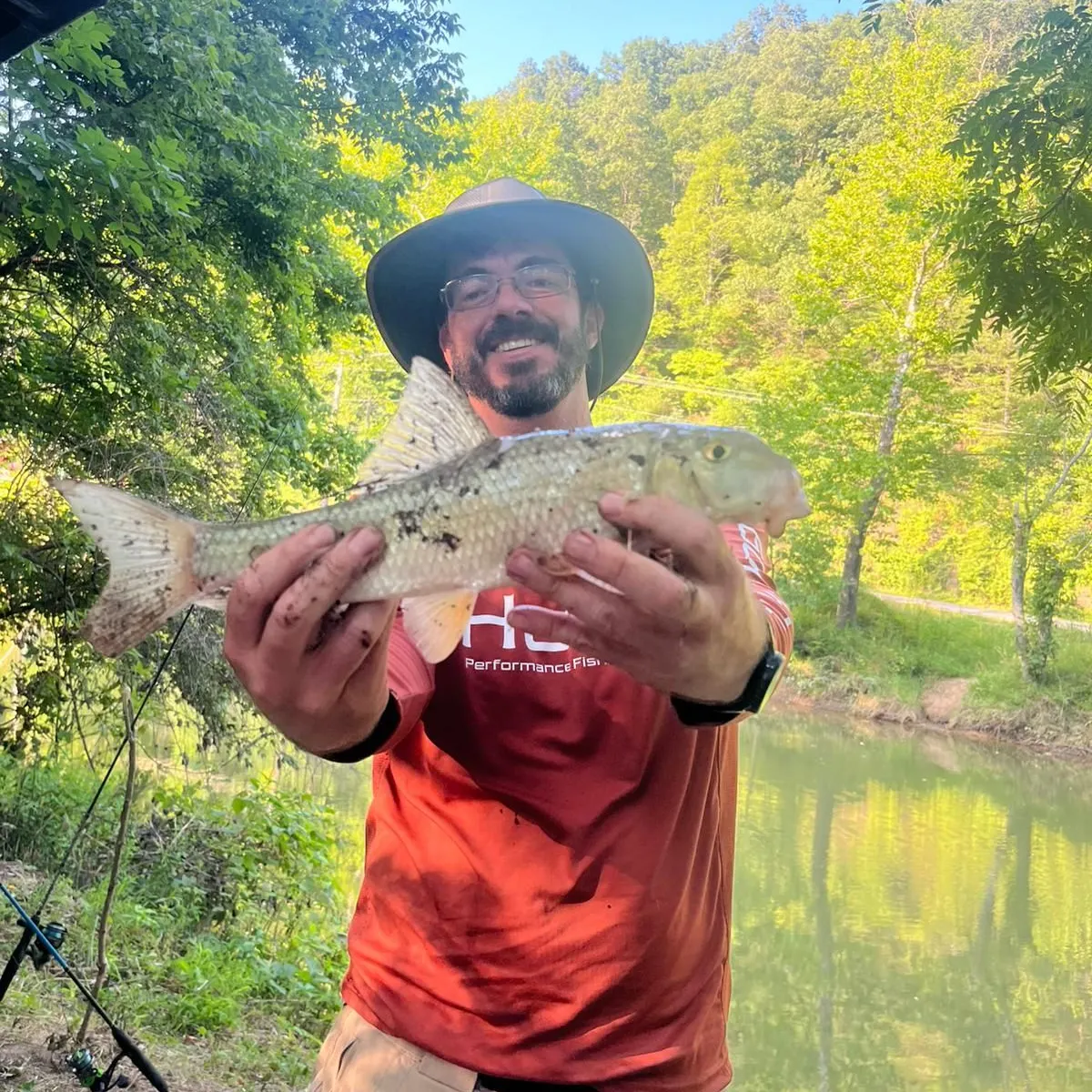 The most recent Golden redhorse catches on Fishbrain