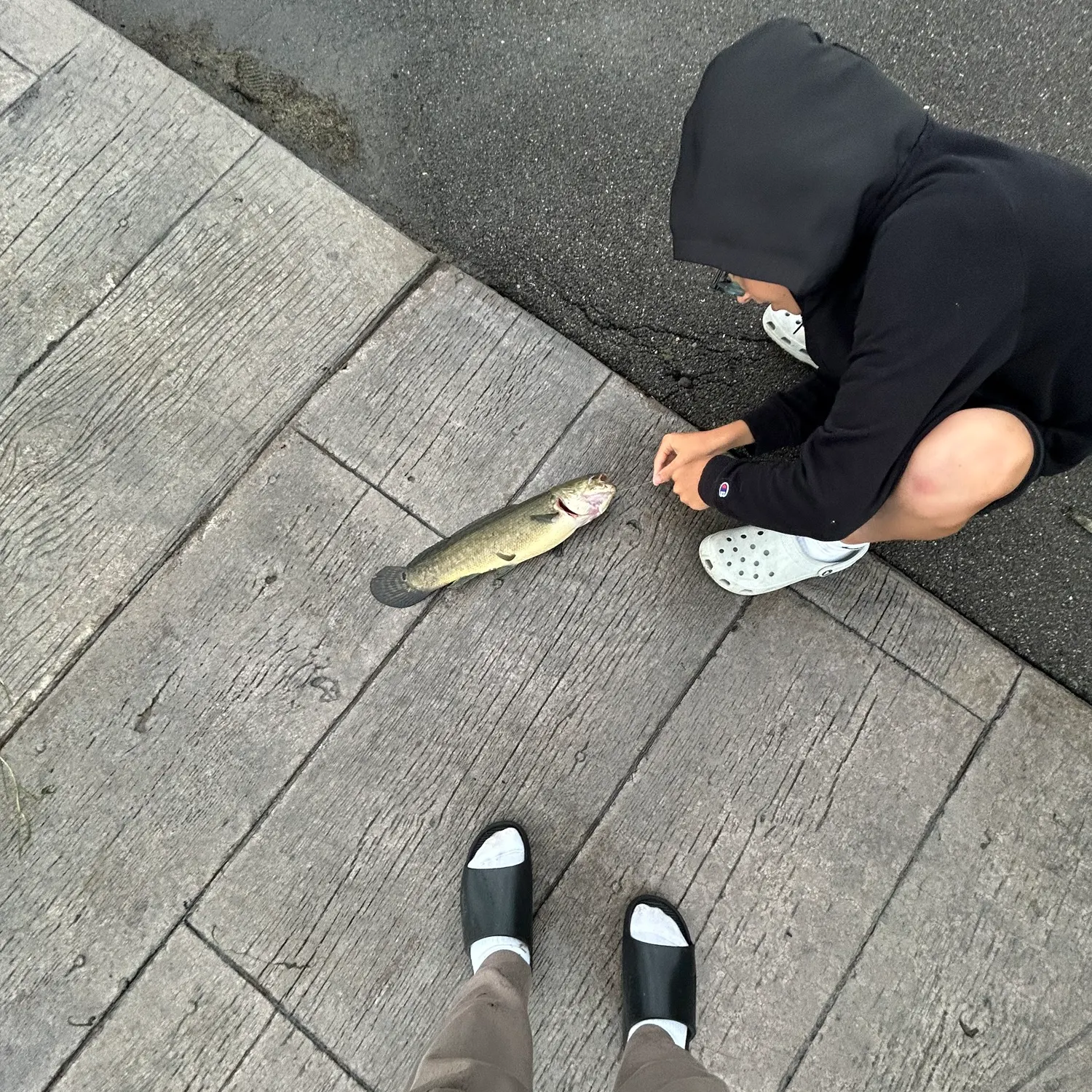 catch