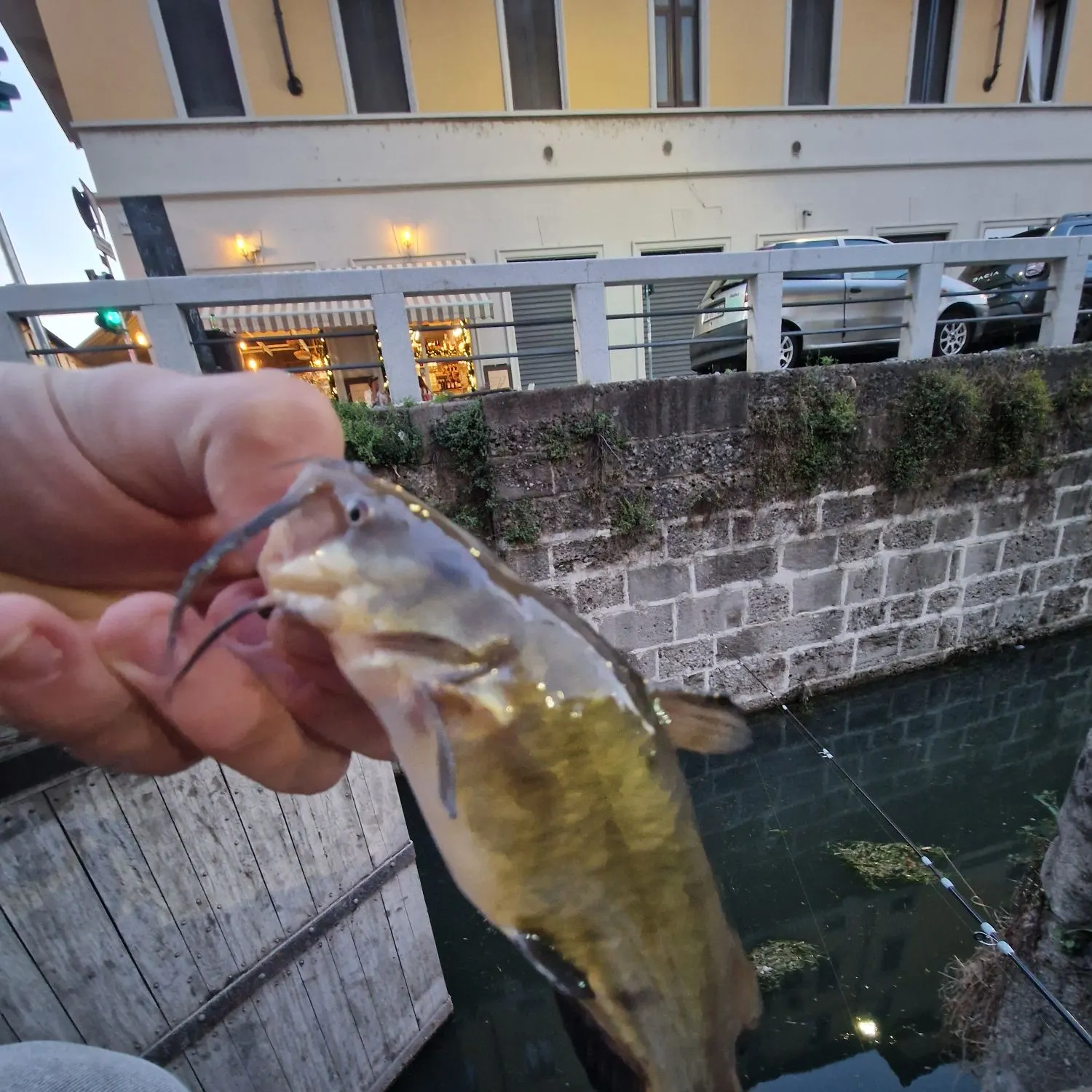 catch