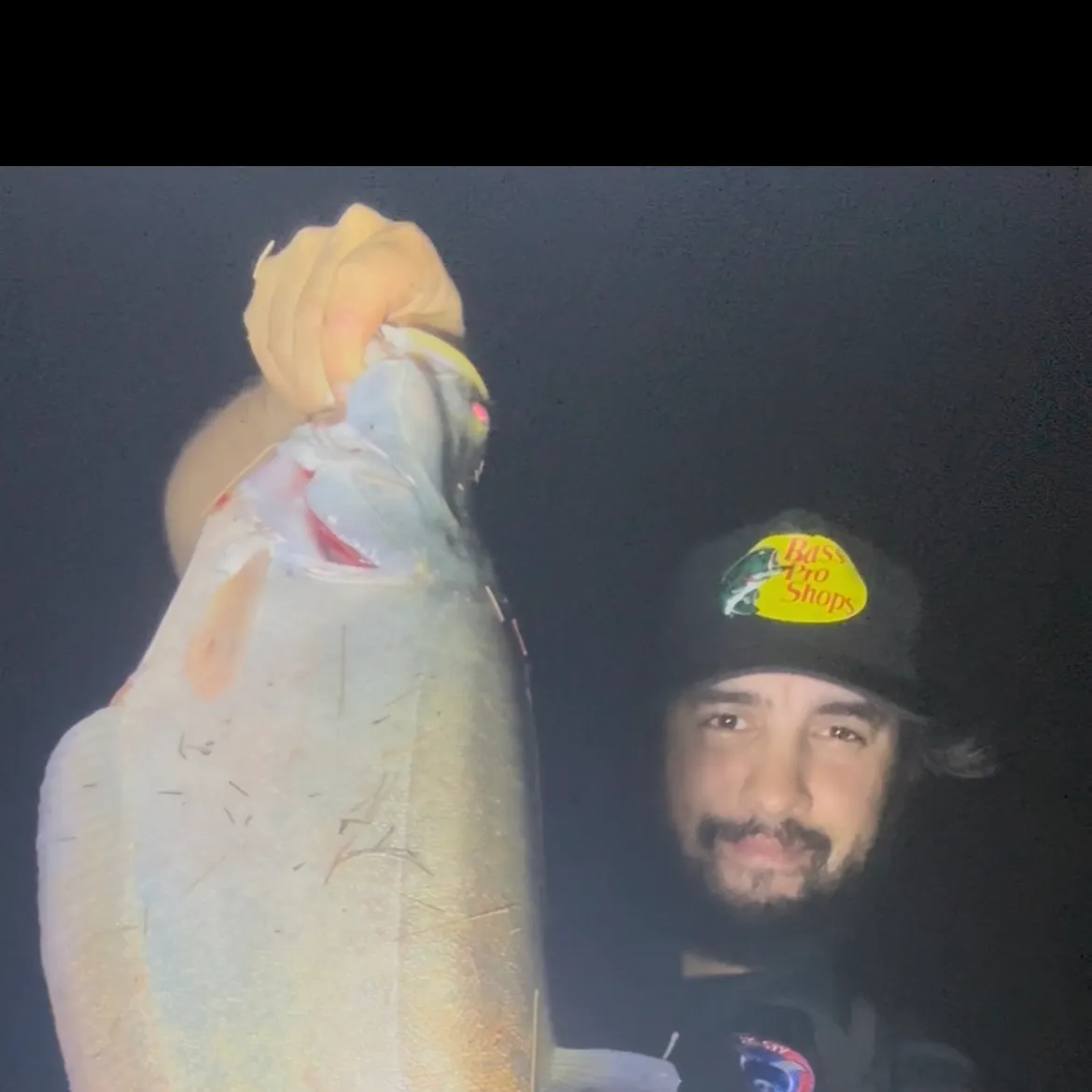 The most recent Clown knifefish catches on Fishbrain