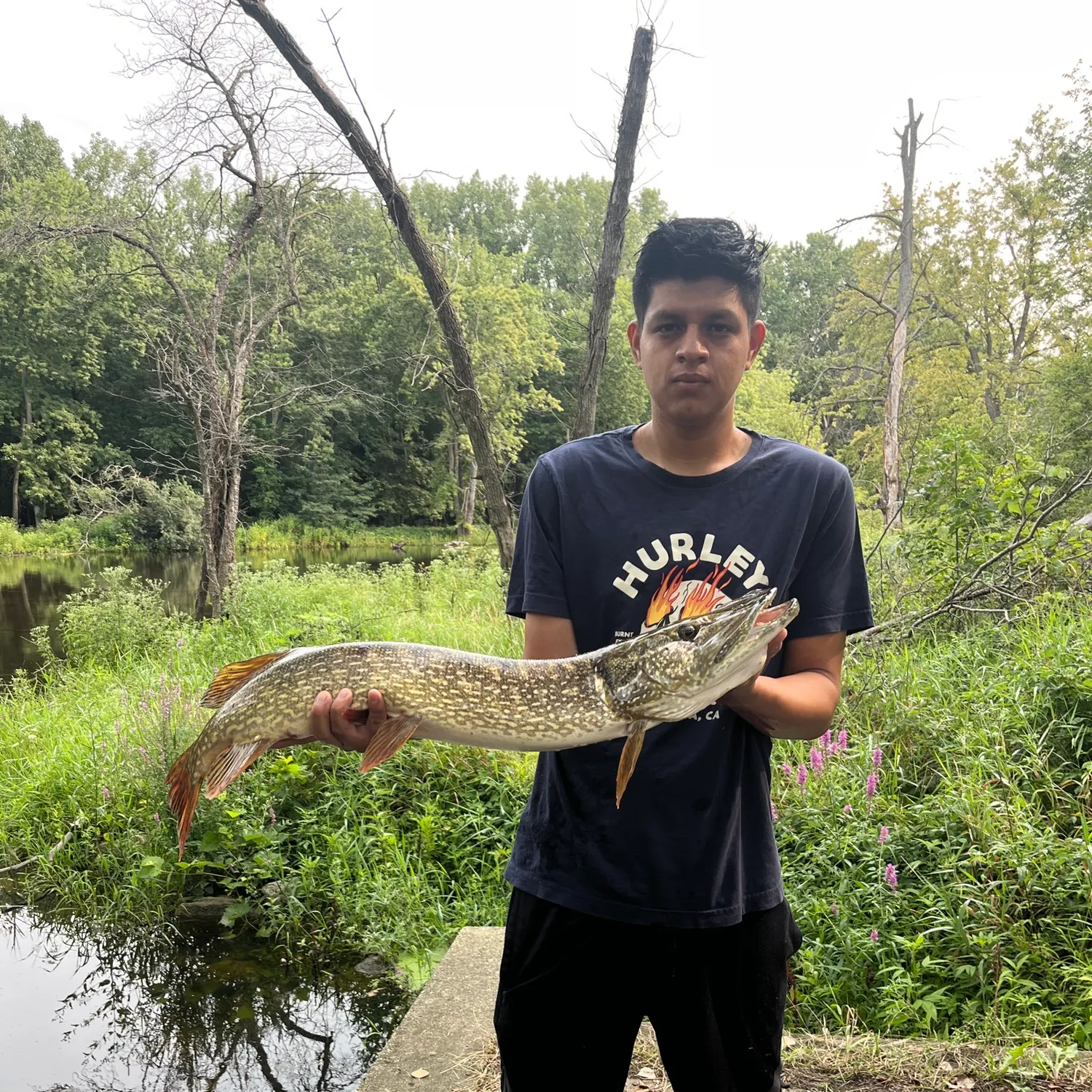 catch