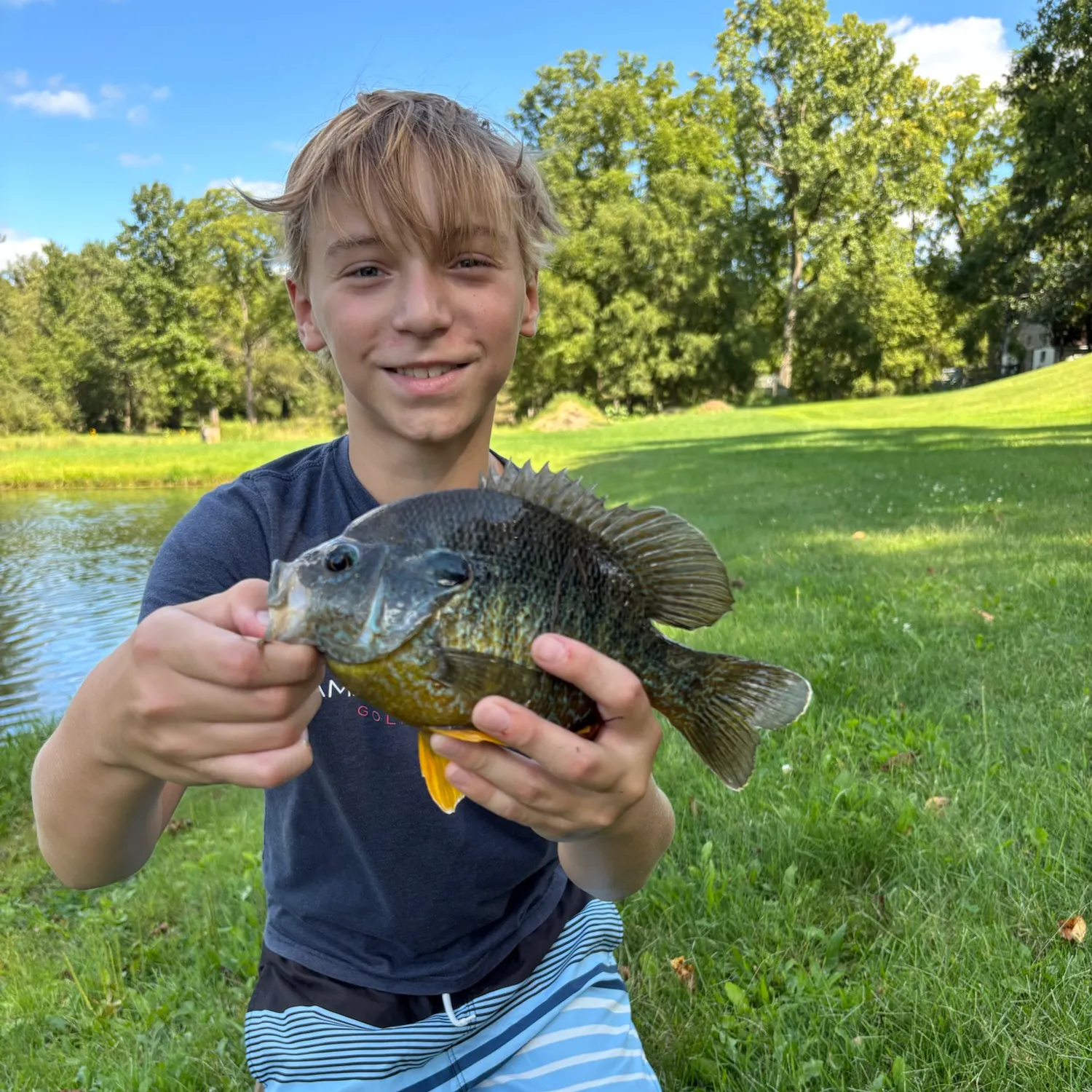 Green sunfish caught on Fishbrain