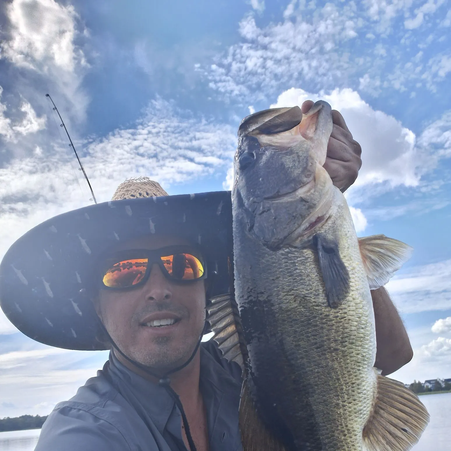 Largemouth bass caught on Fishbrain