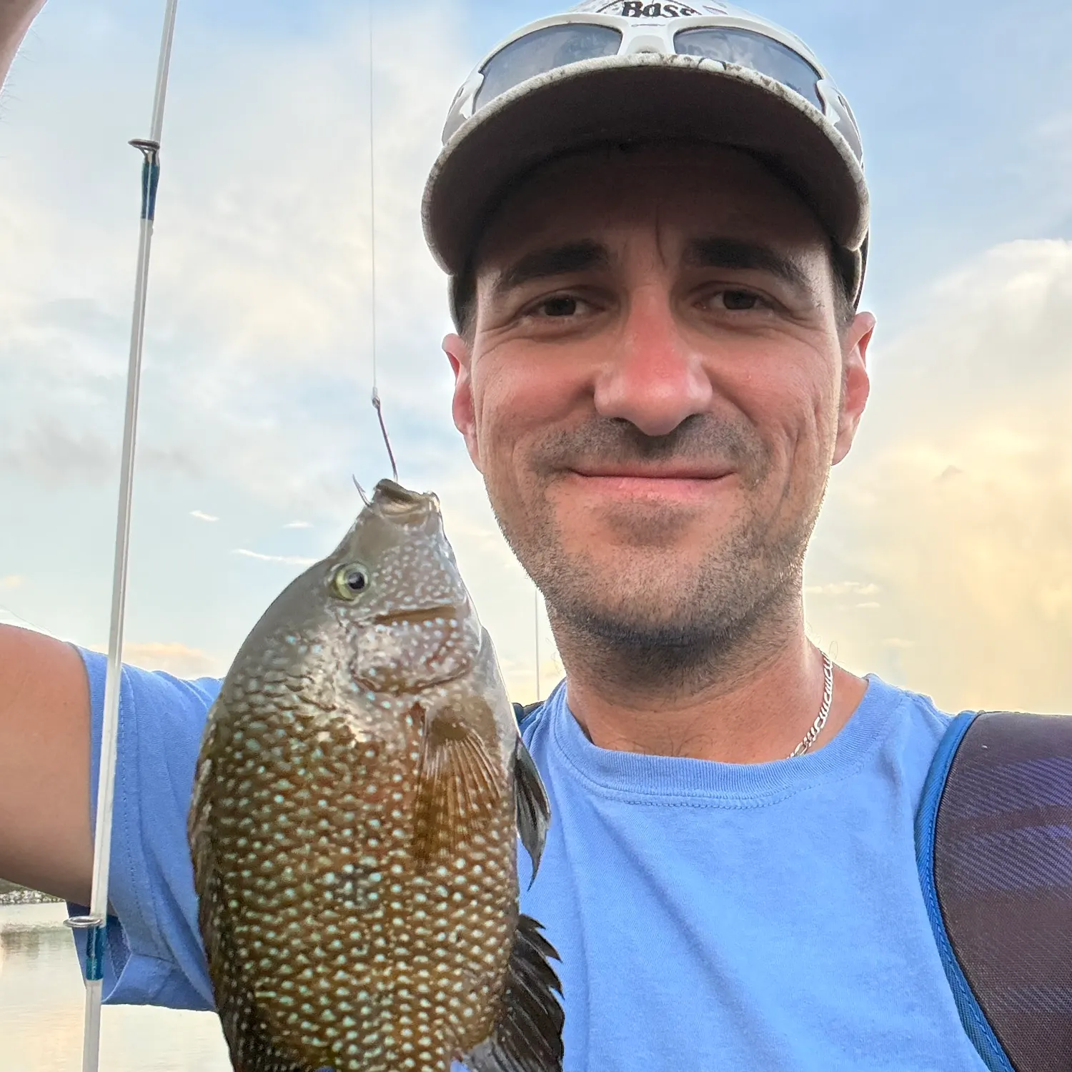 Rio Grande cichlid caught on Fishbrain