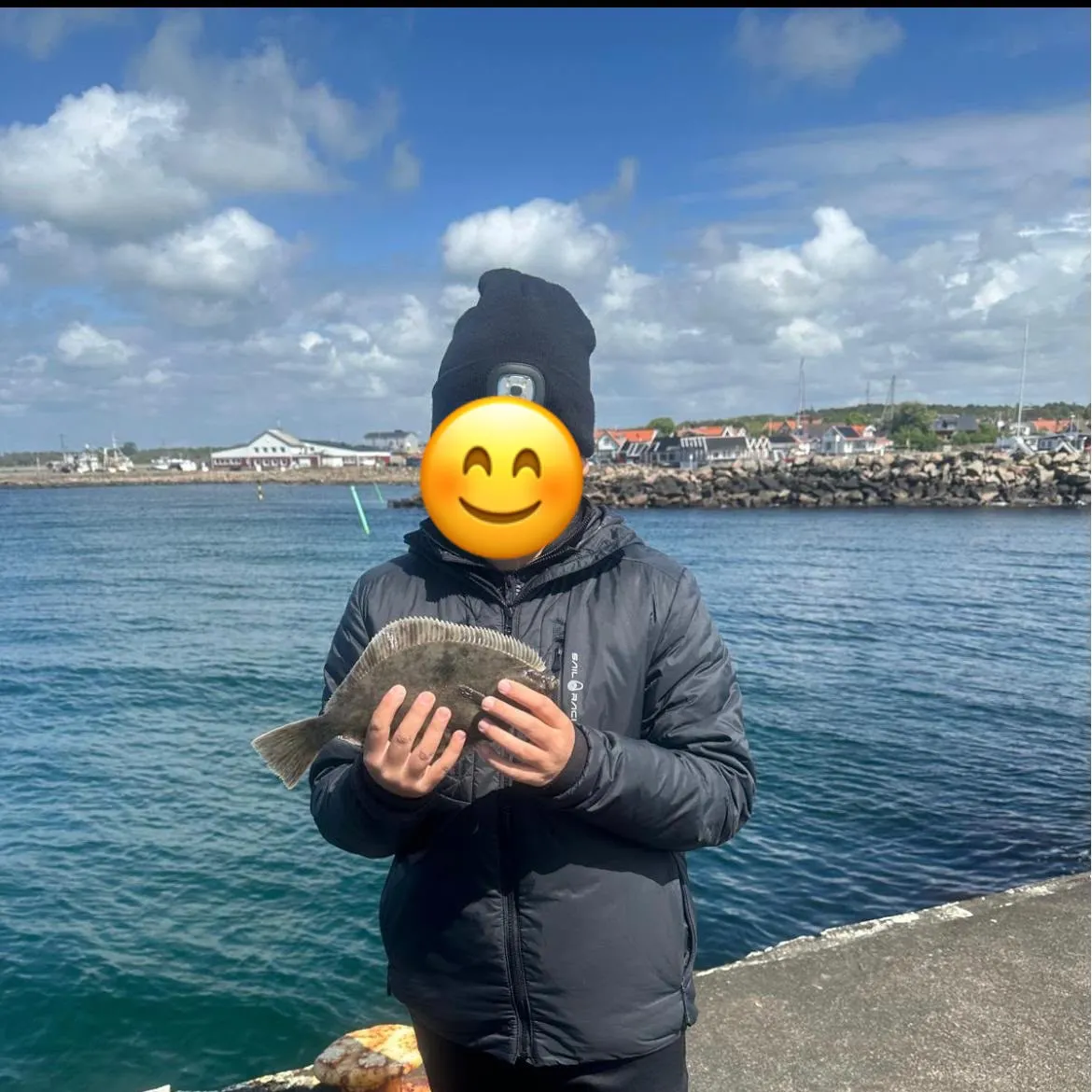The most recent European flounder catches on Fishbrain