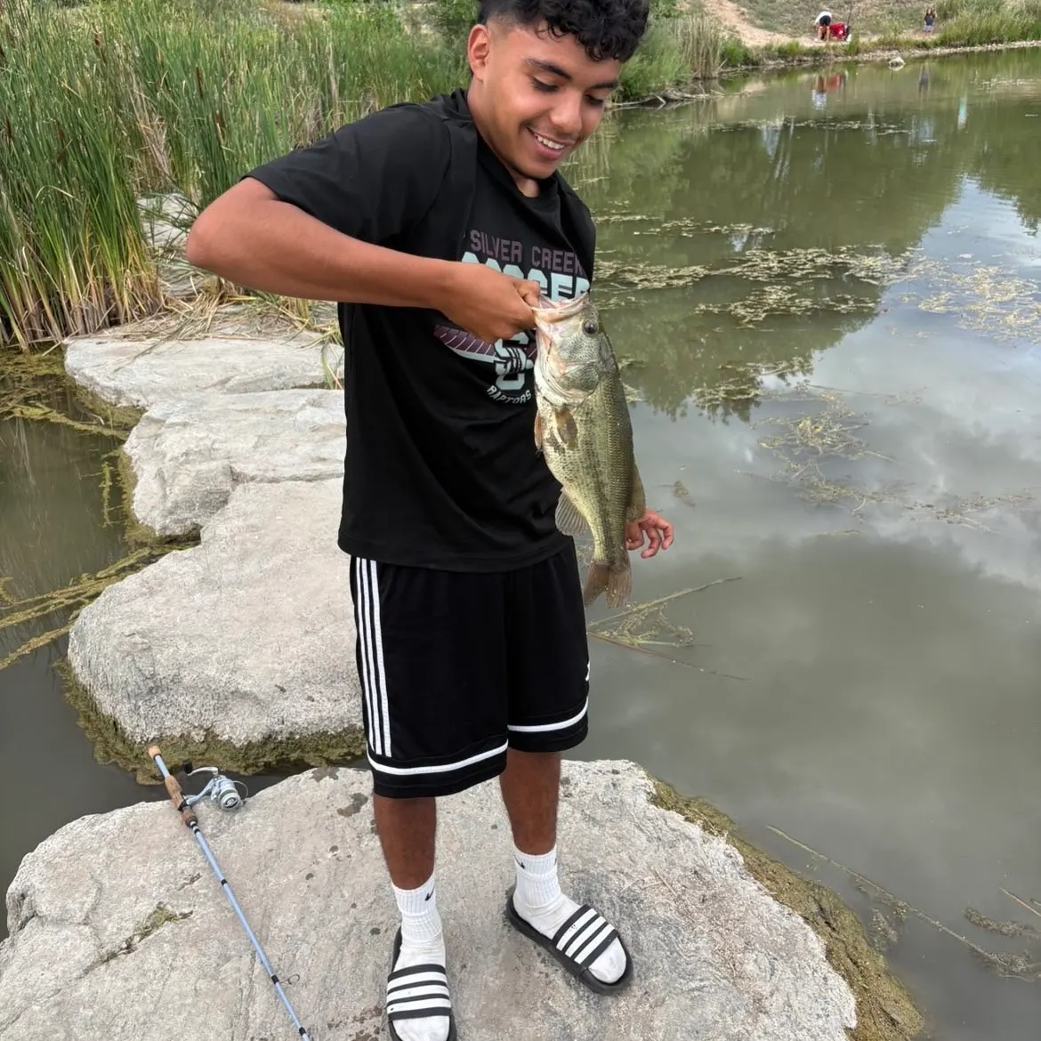 Largemouth bass caught on Fishbrain