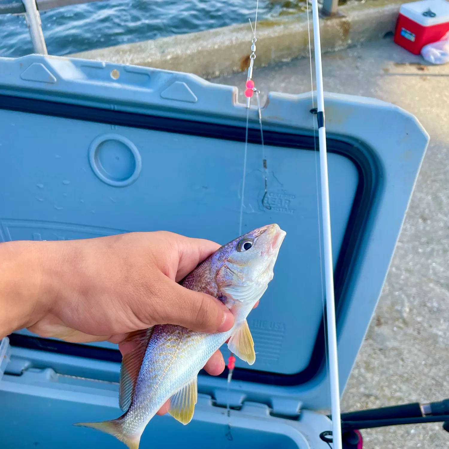 catch