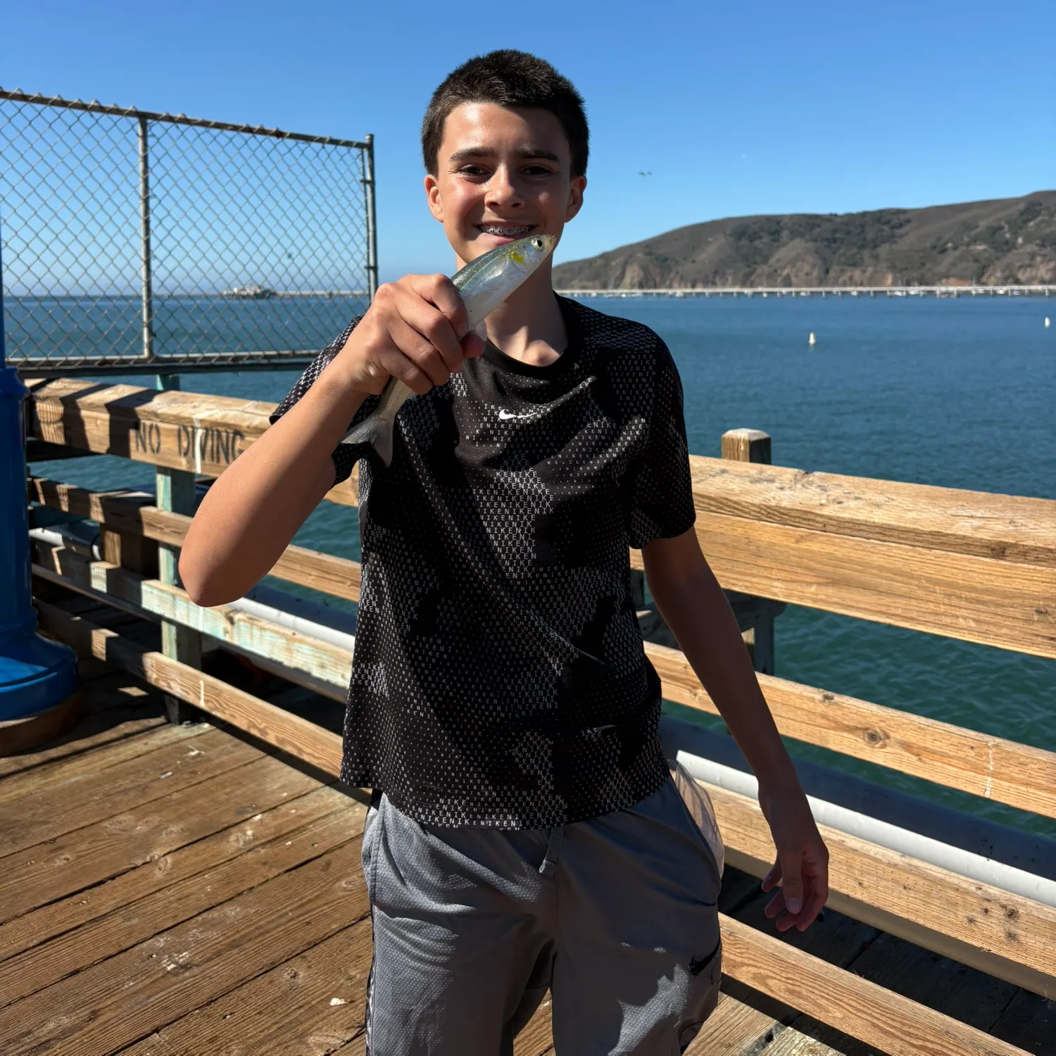 The most recent Jack silverside catches on Fishbrain